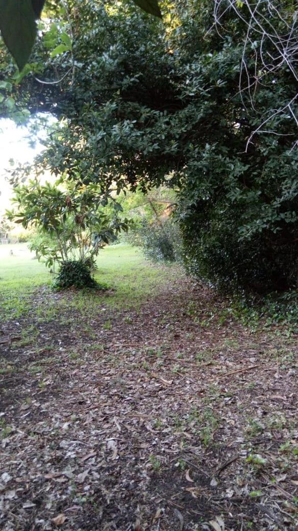 Rancho Apar T -