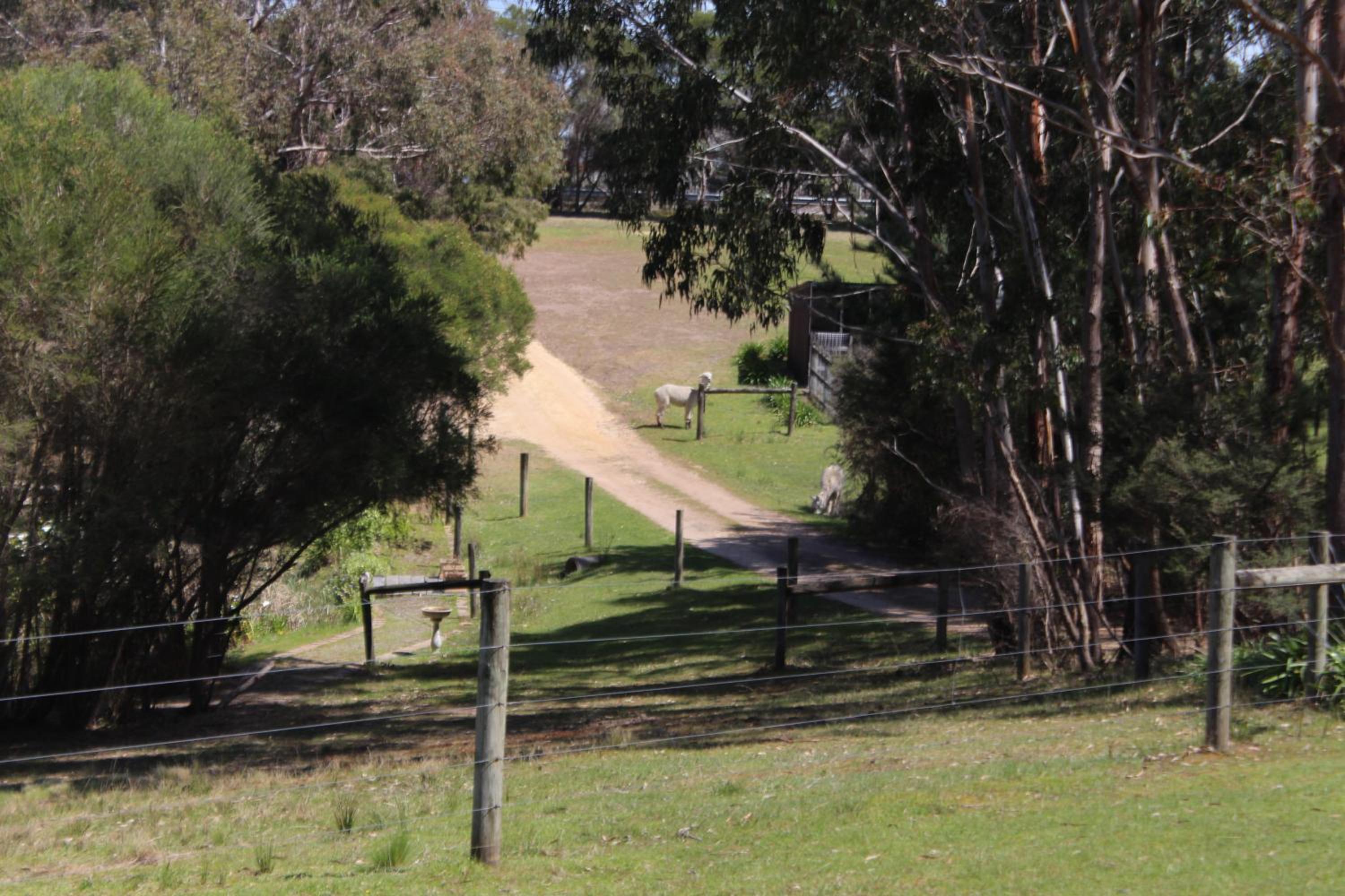 Bells Estate Great Ocean Road Cottages