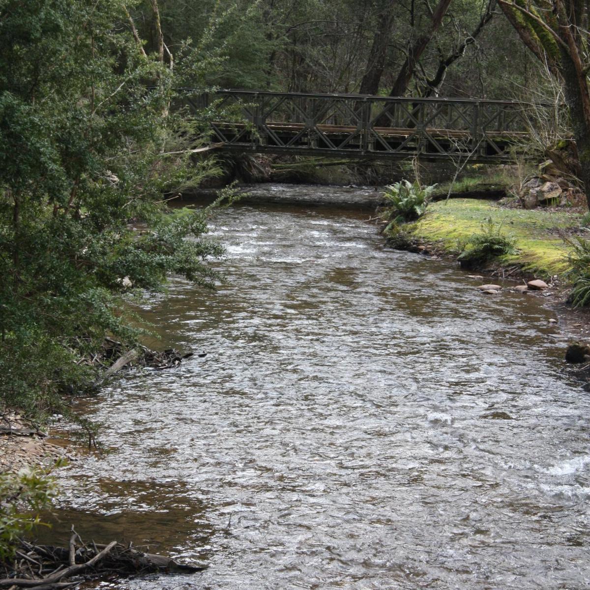 Photo 46