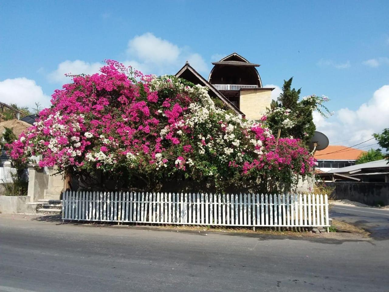 The Dream Home Villas
