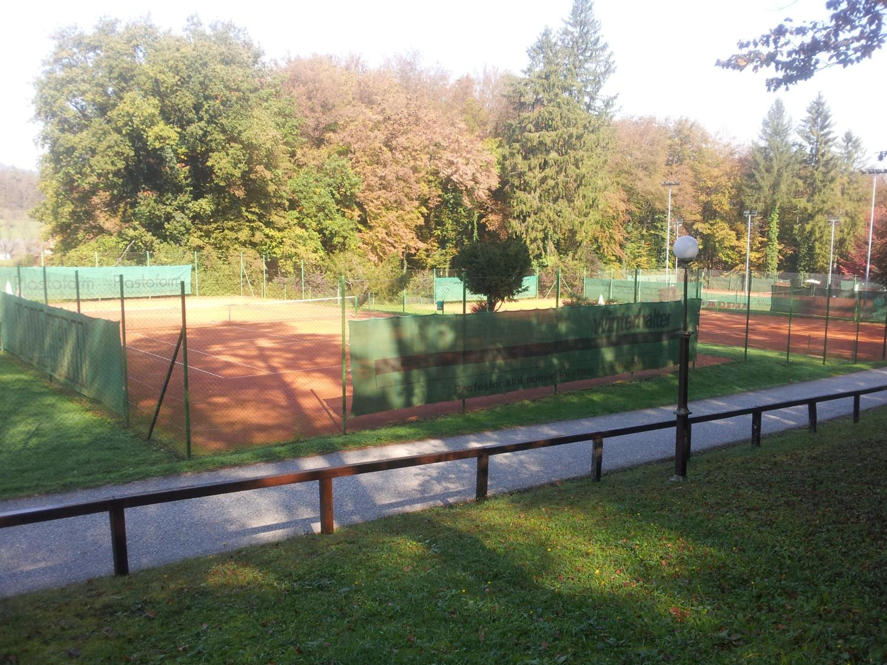 Photo 43