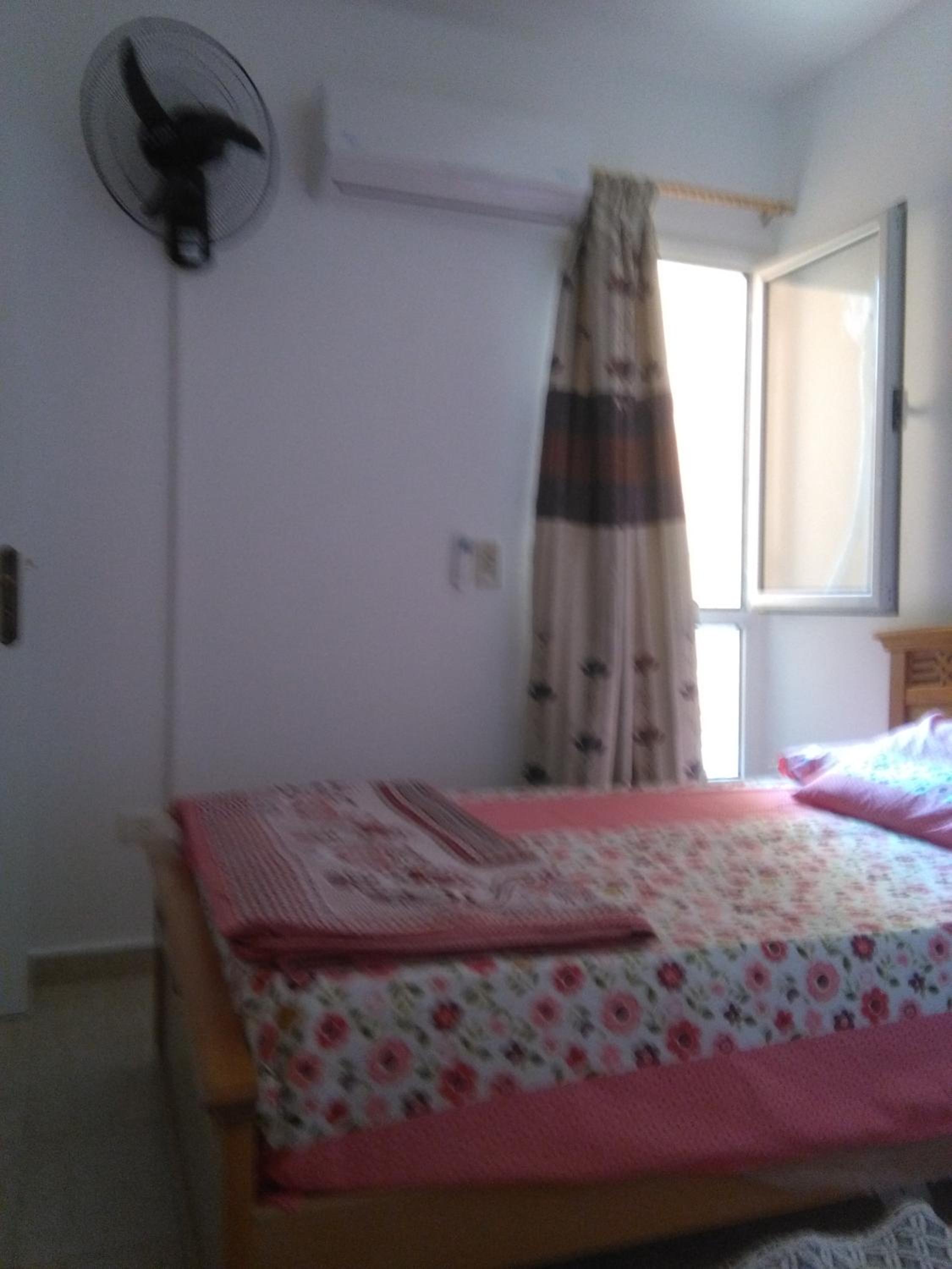 Photo 38