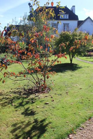 Photo 14