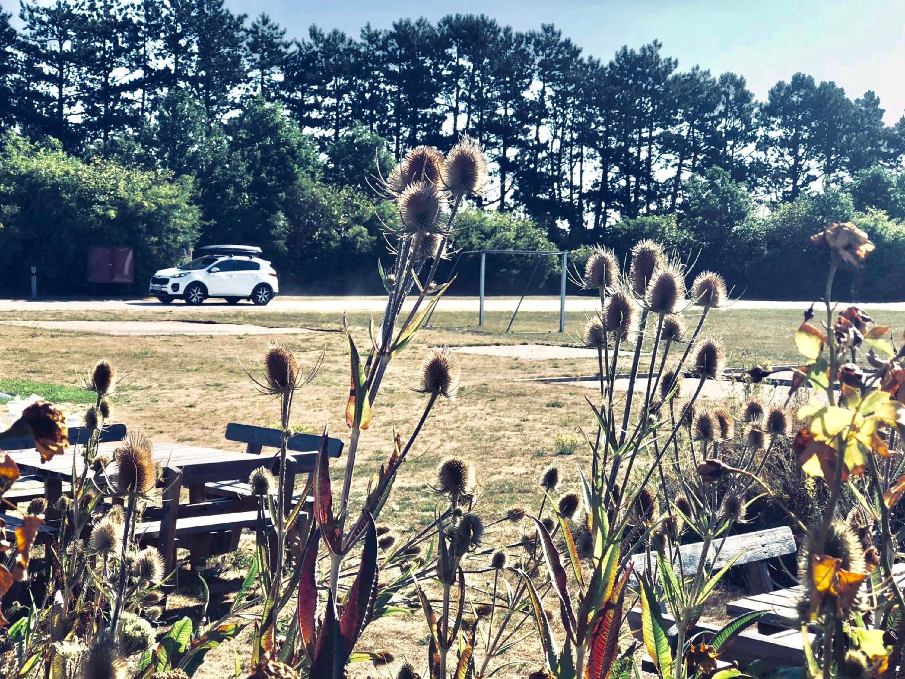 Danhostel Ishøj Strand