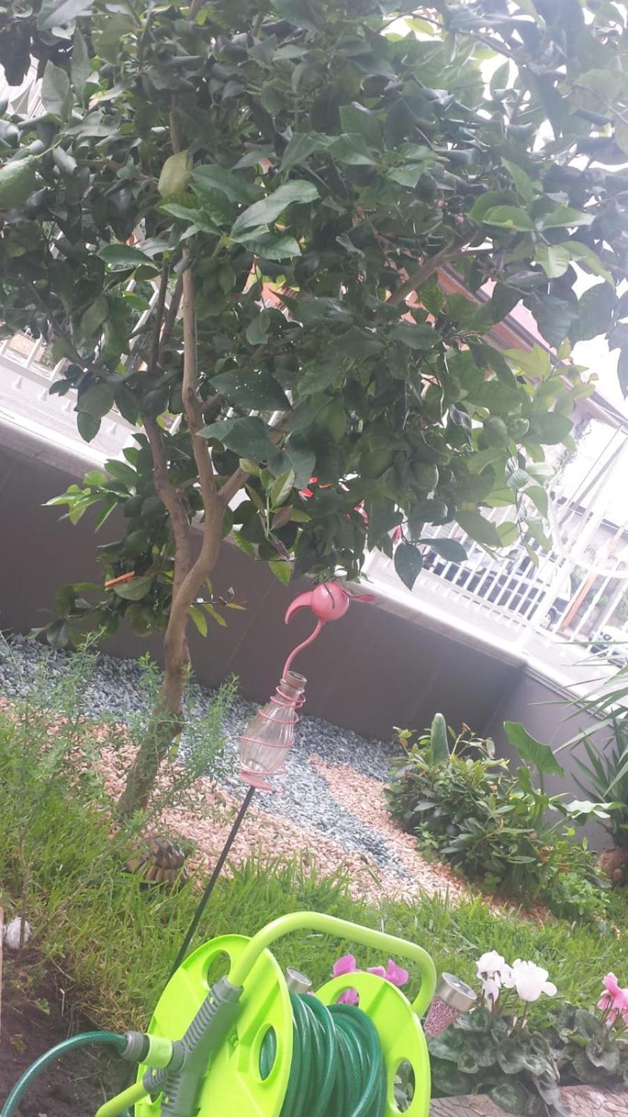 Photo 22