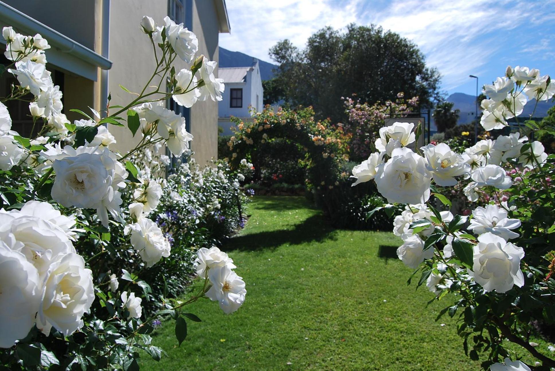 Lavender Cottage