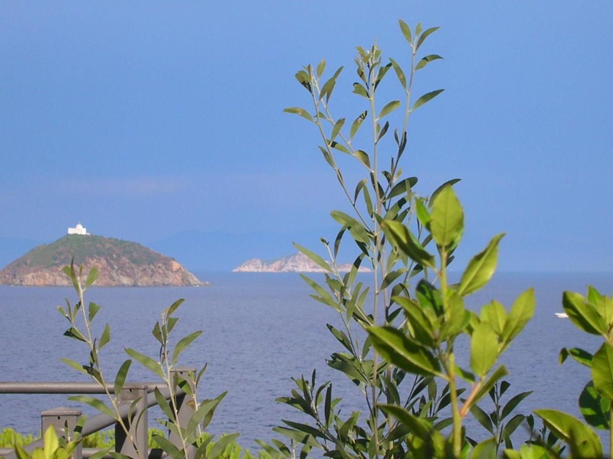 la scappatoia photo 5