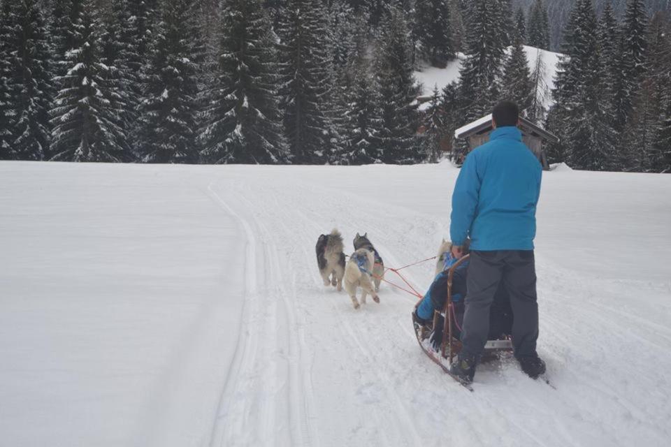 Eirl DOLOMITES Retreat Sappada