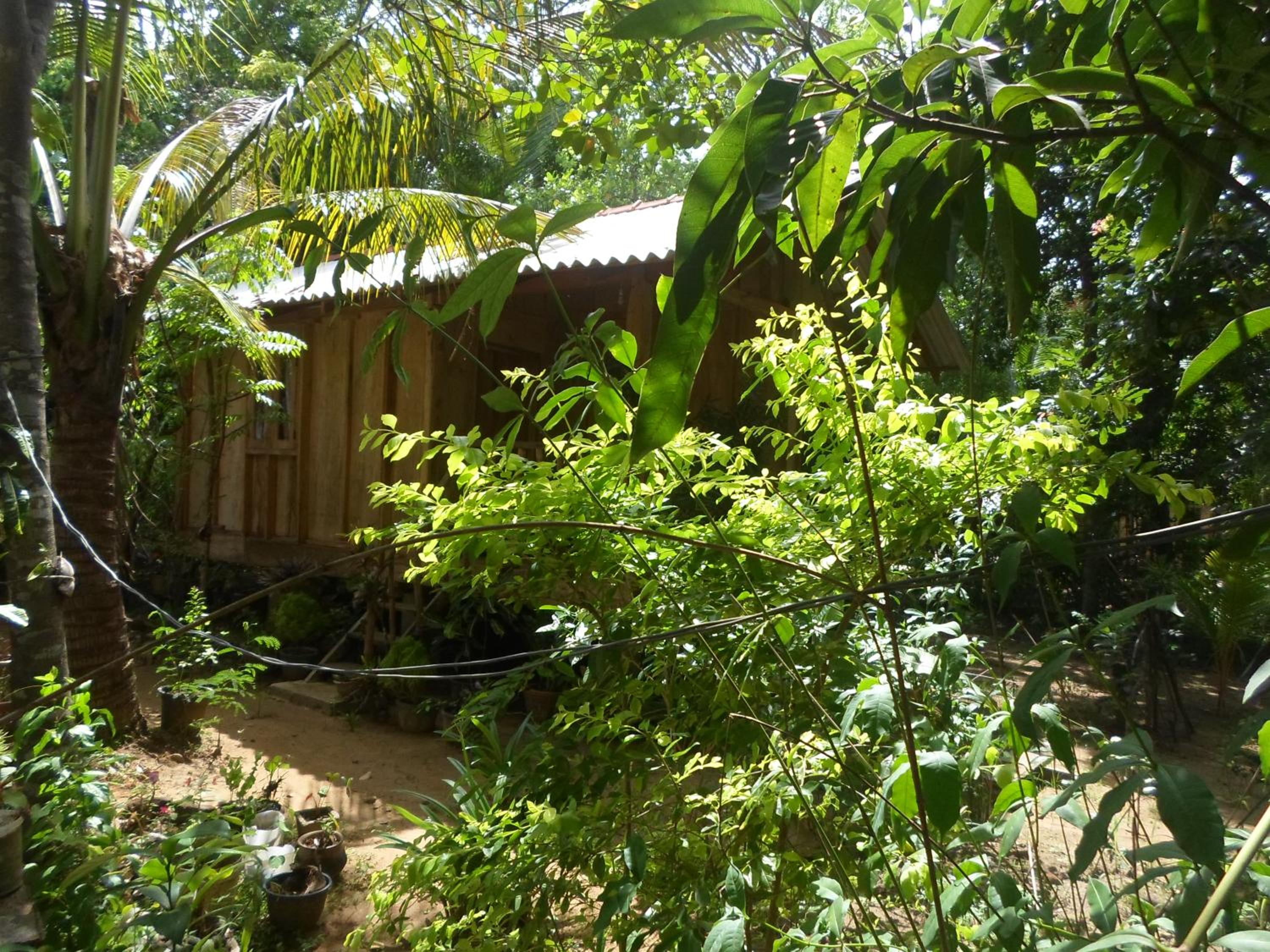Photo 16