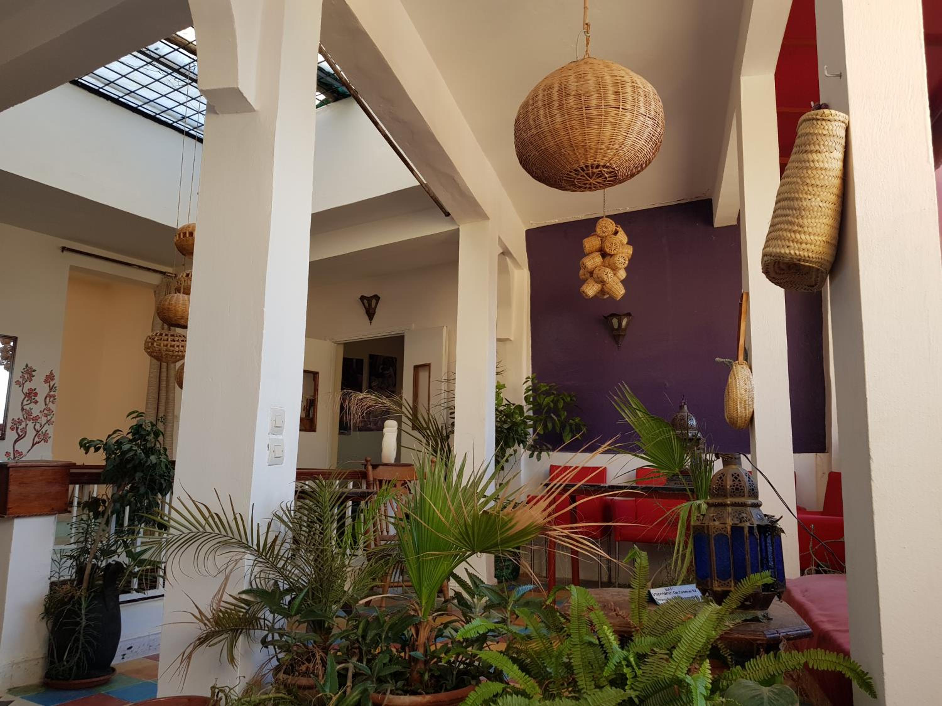 recepcion & lobby