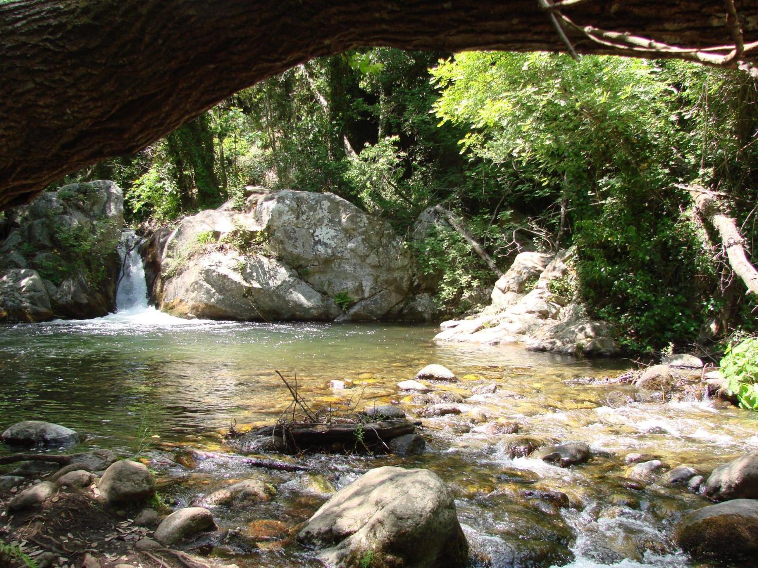 Photo 43