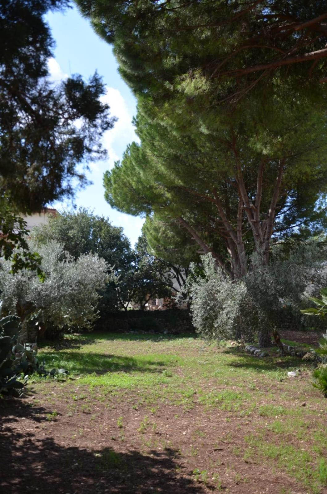 Modica Vacations - Villa Alchea Locazione Turistica - Property Image 21