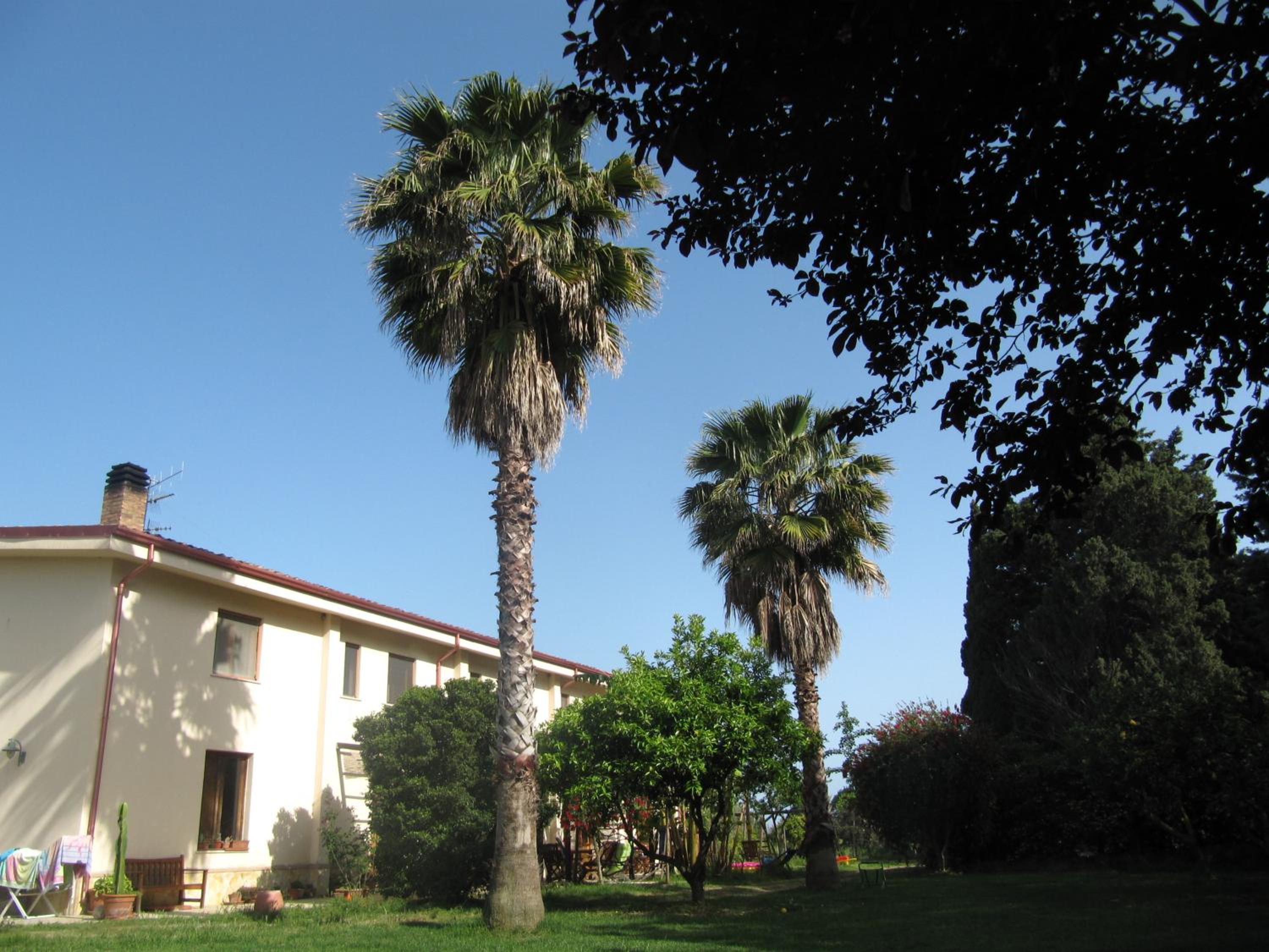 Photo 26