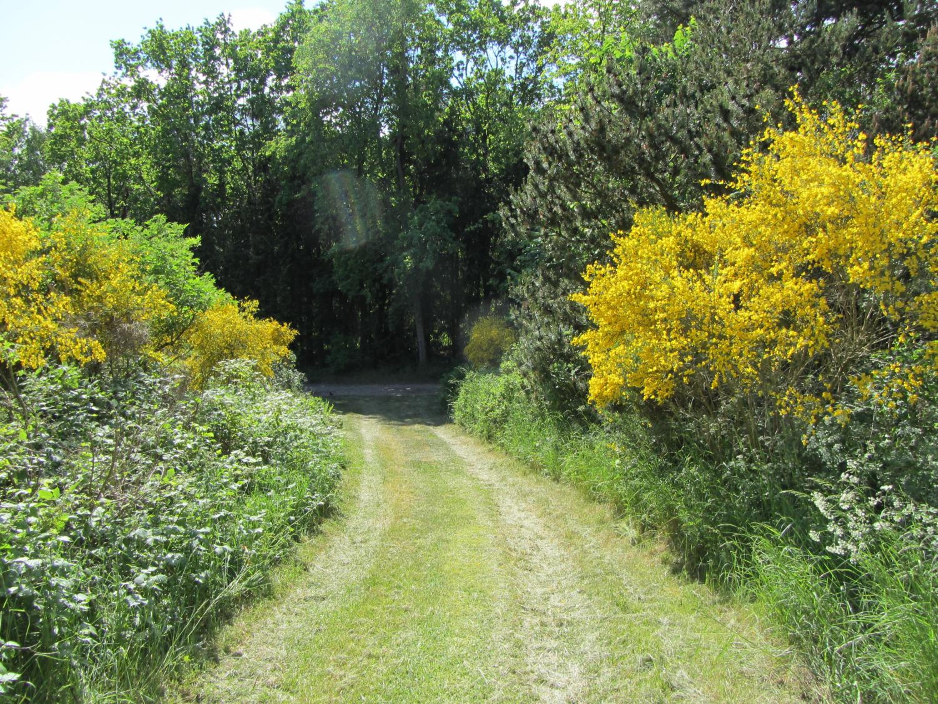 Photo 25