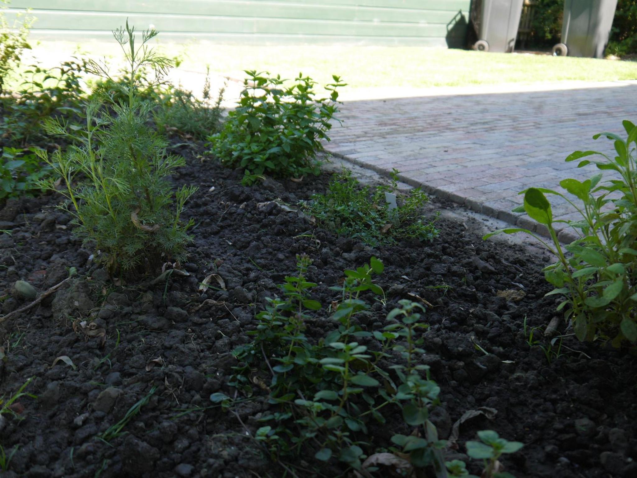 Photo 21