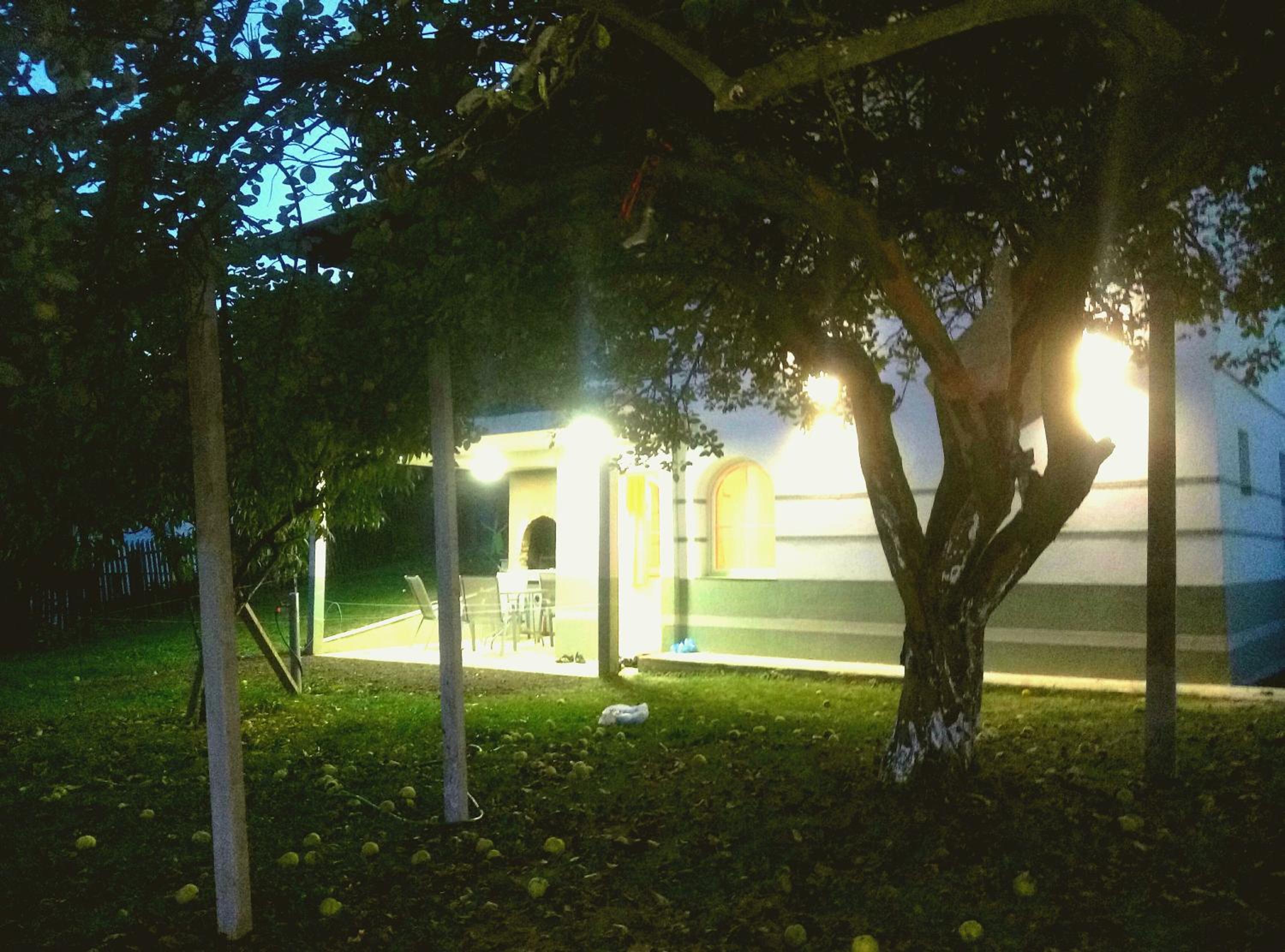Cottage 