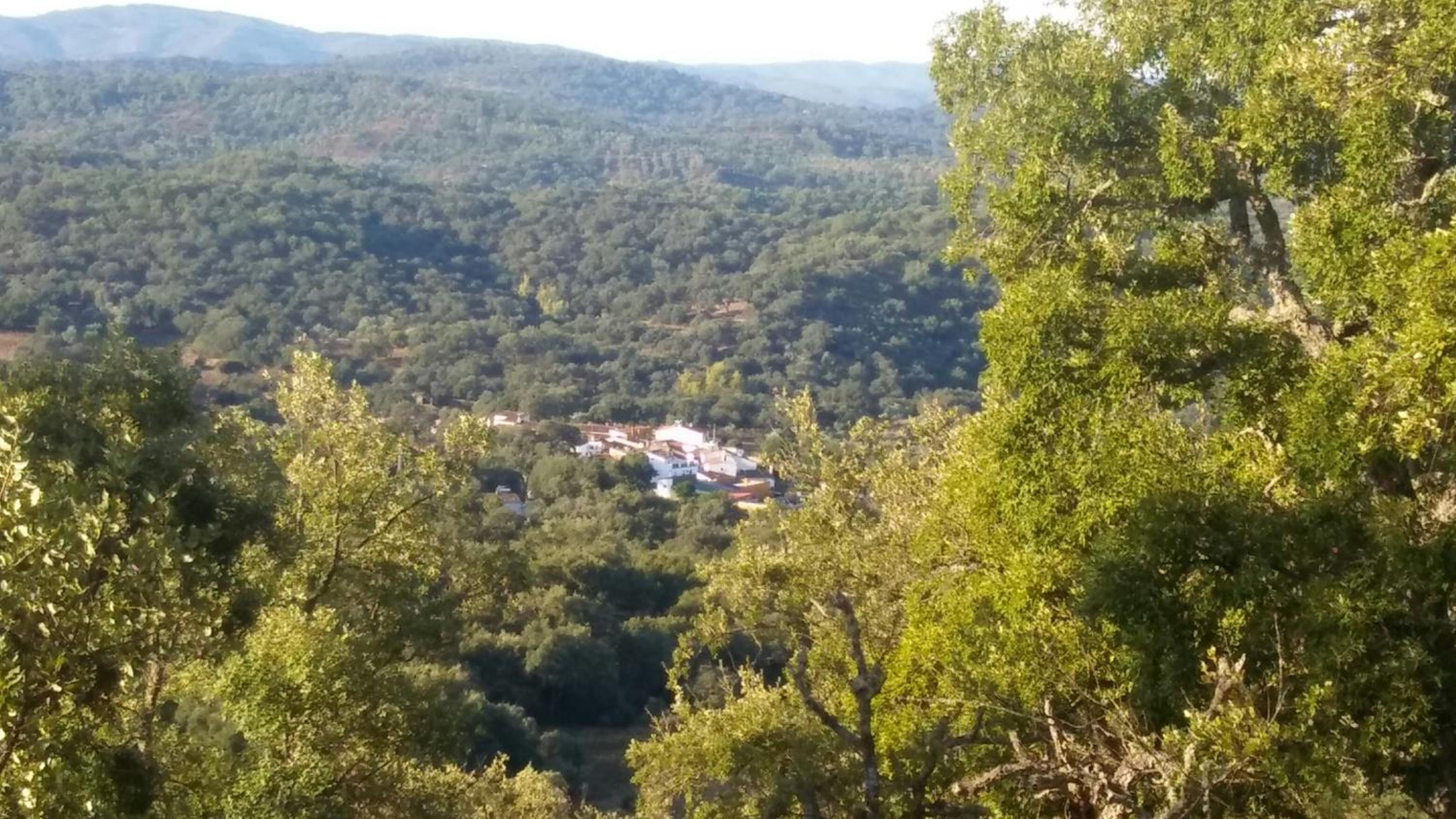 María view 5