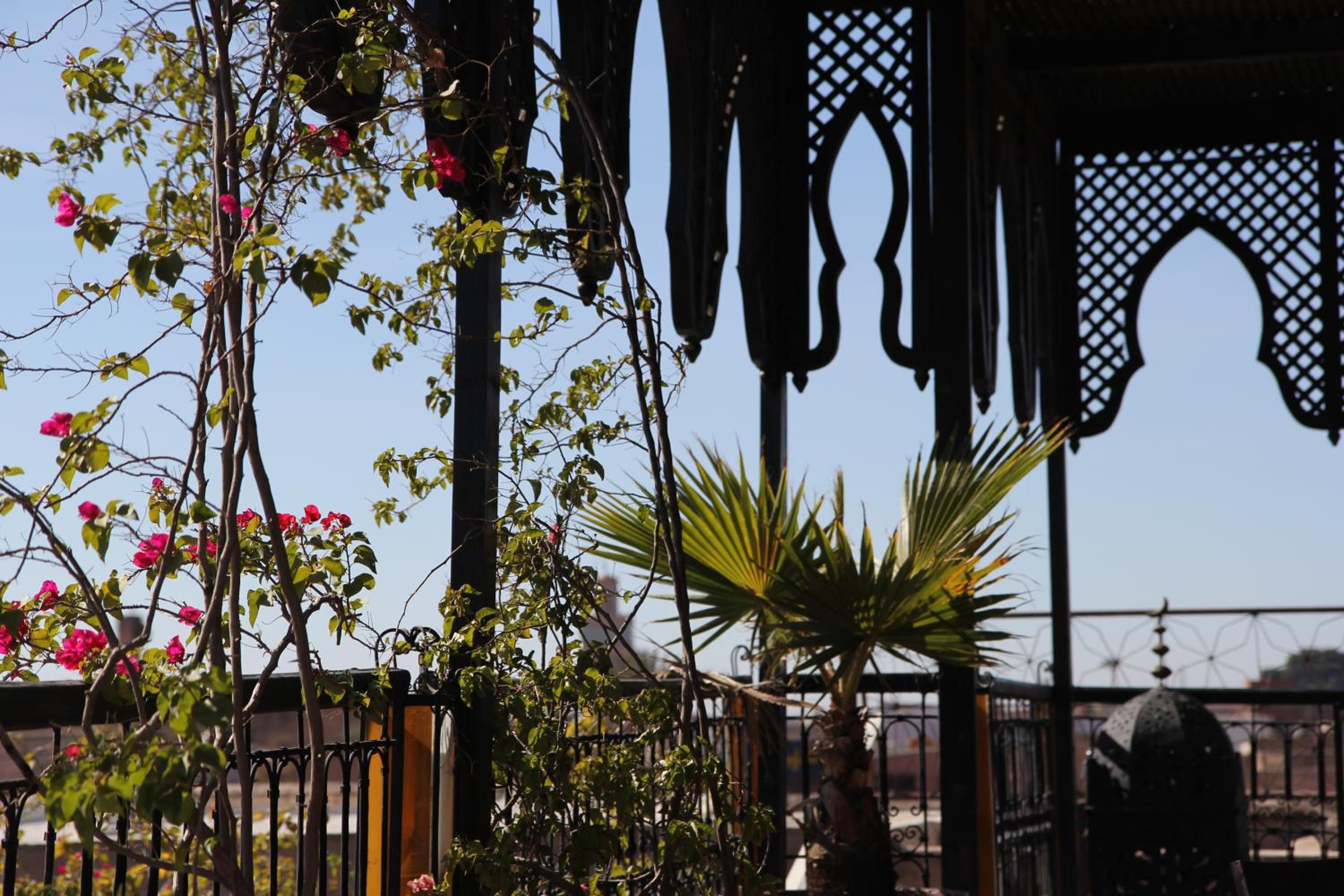 Riad Terra Bahia