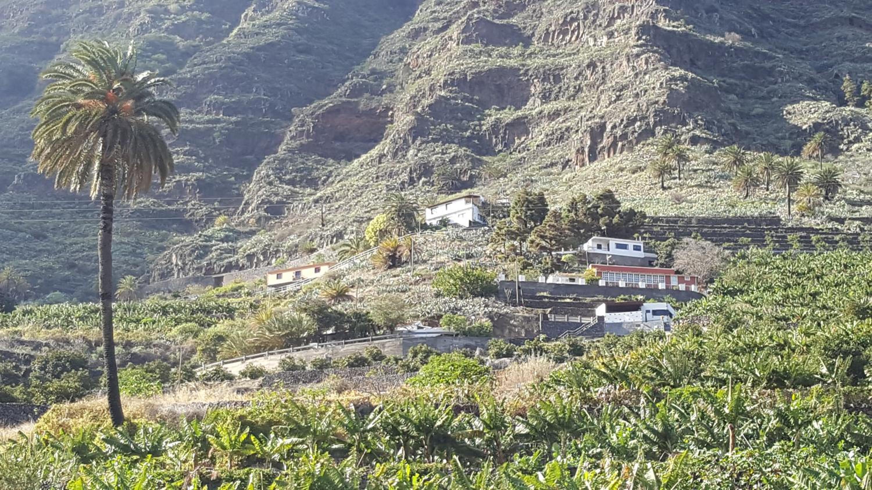 Casa Tajaraste
