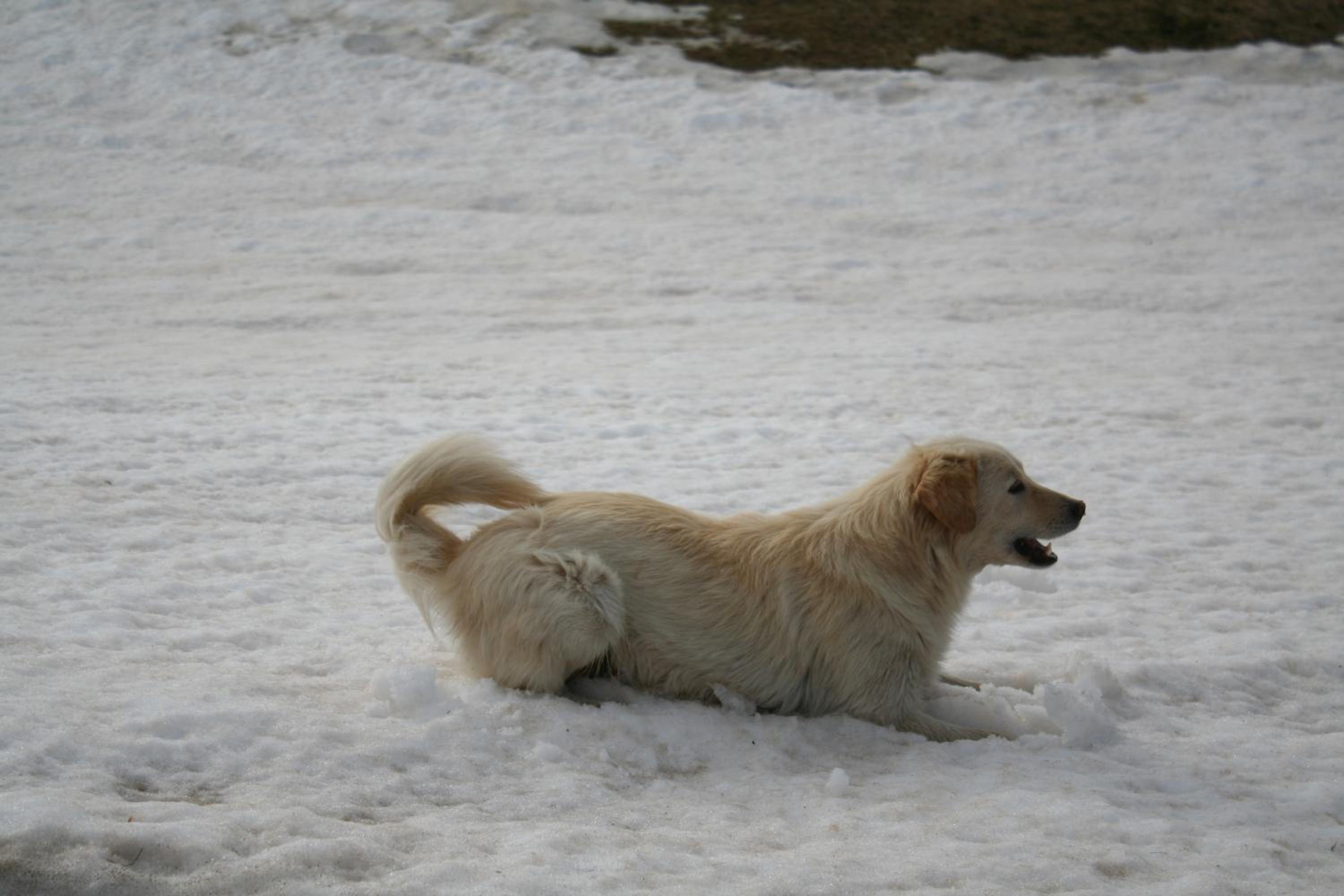 Photo 41