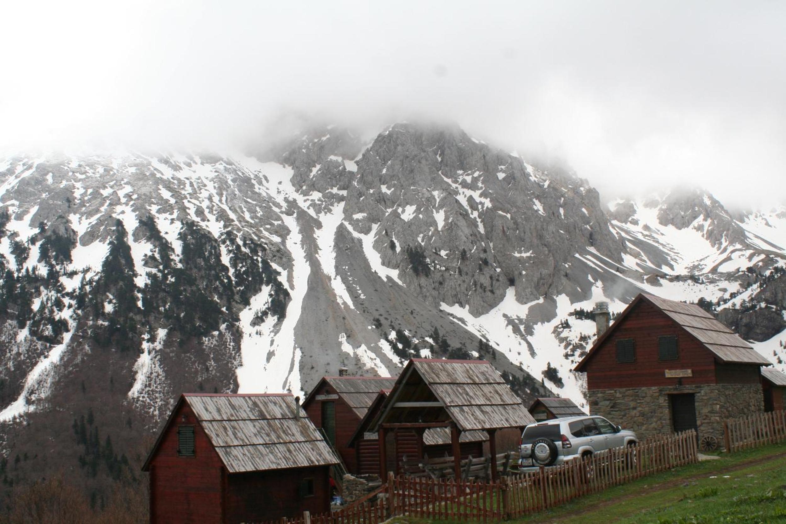 Photo 44