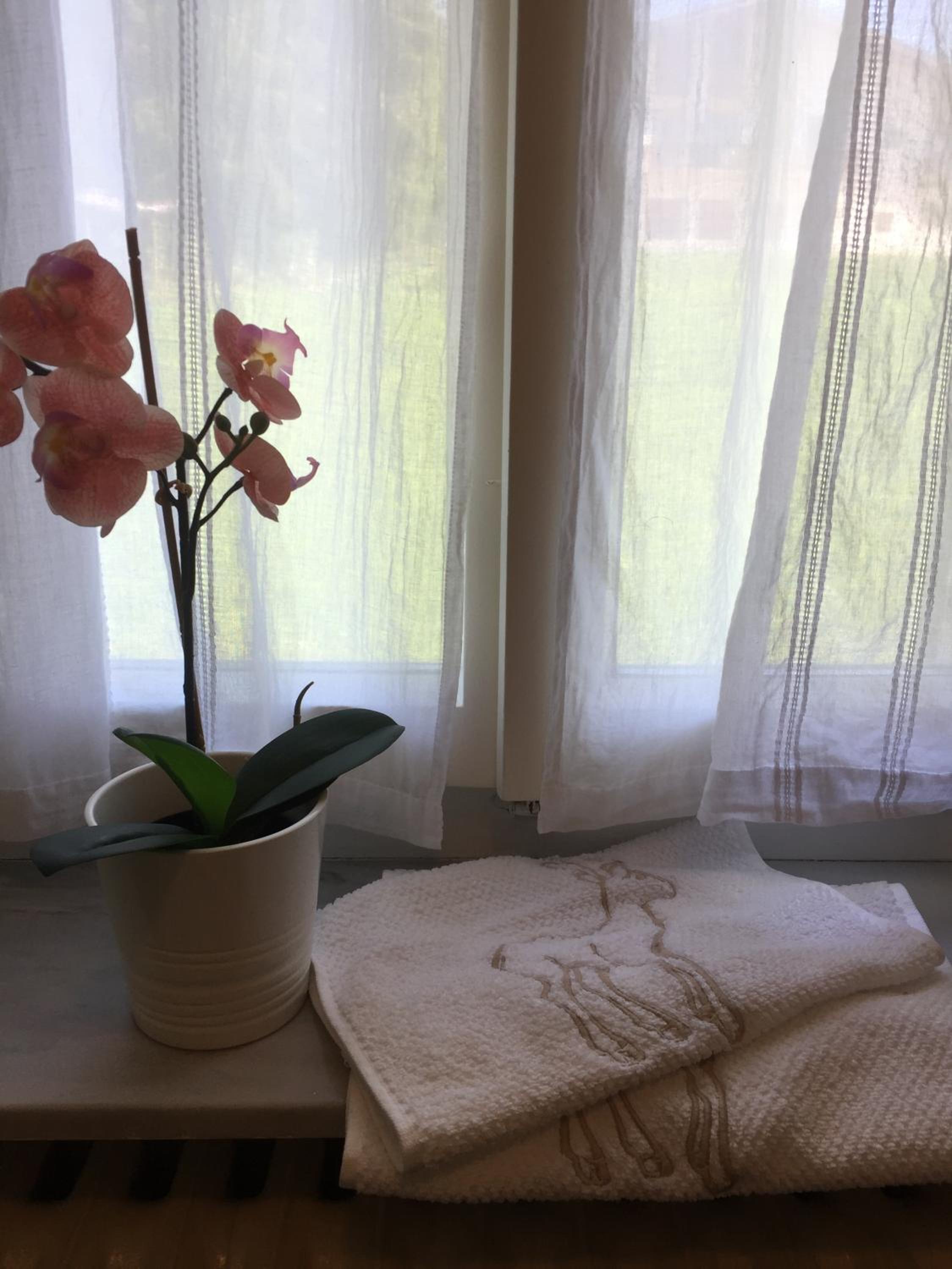 Photo 32