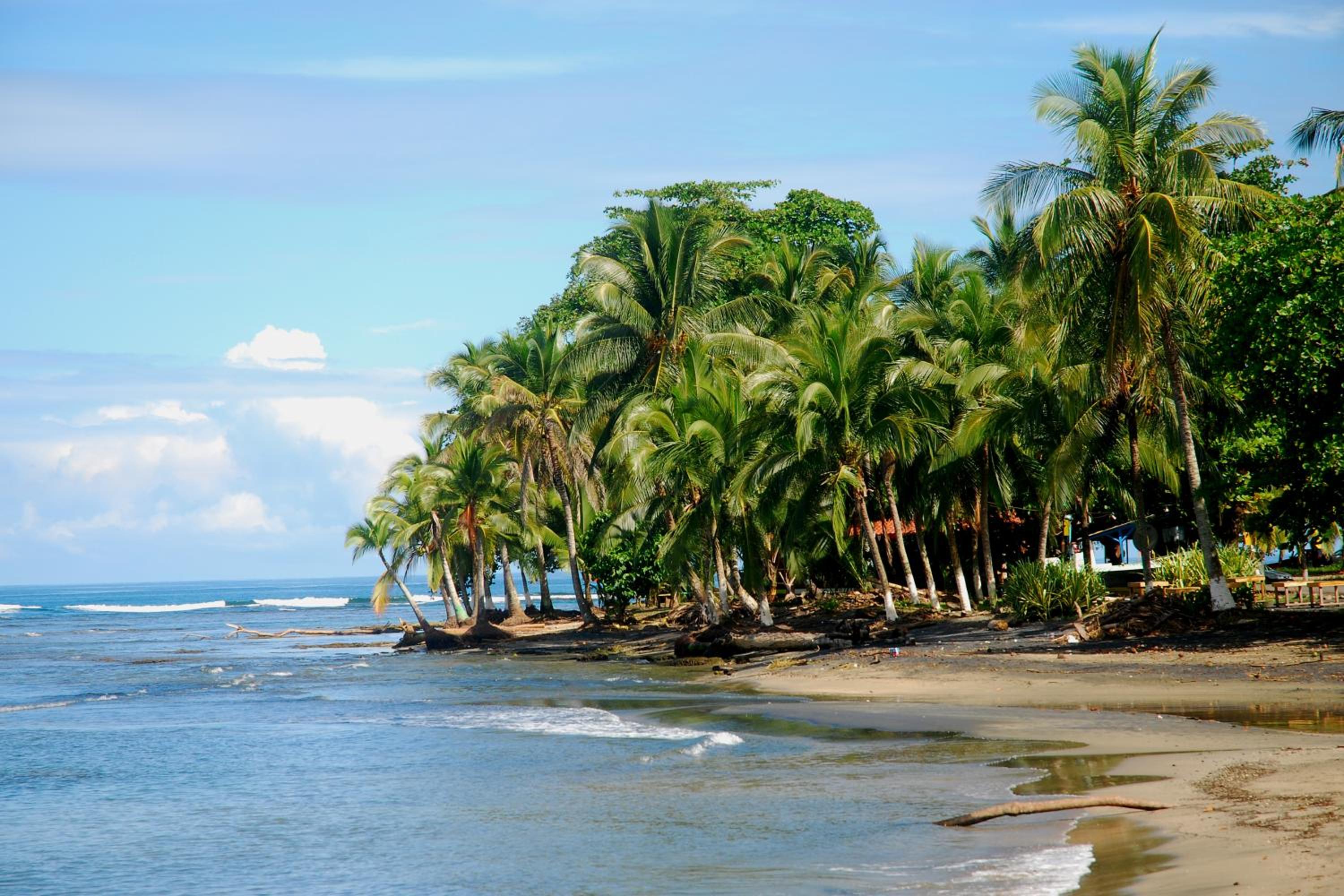 El Jardin de Playa Negra