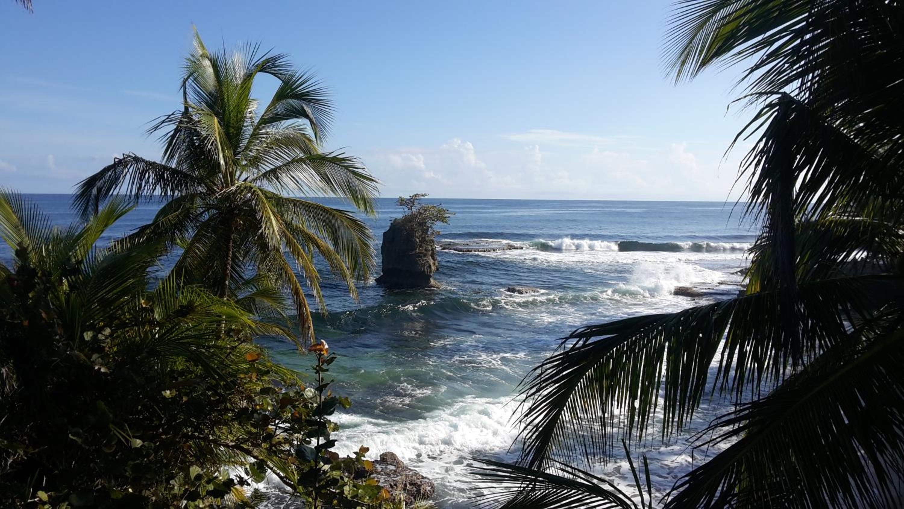 El Jardin de Playa Negra