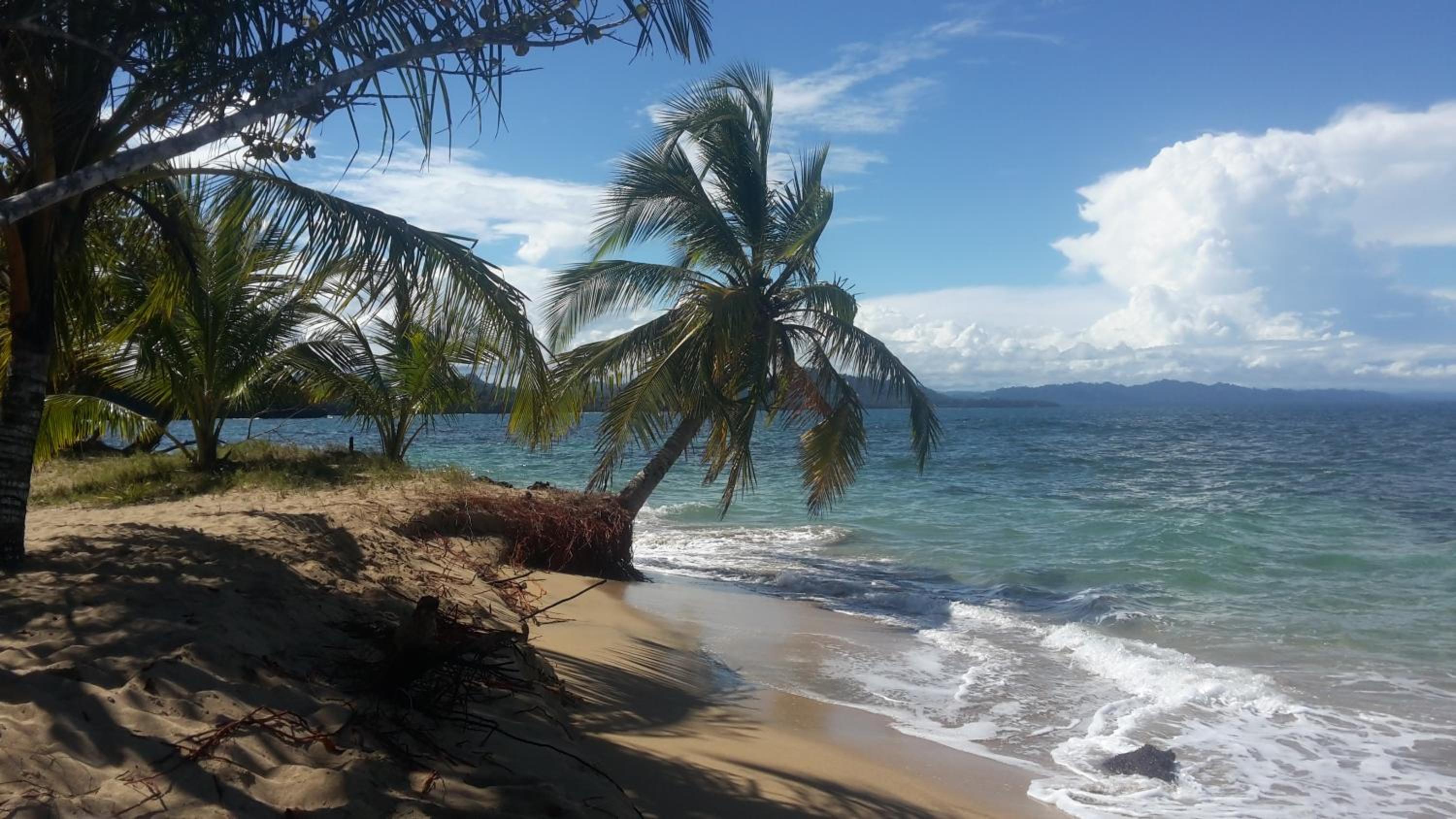 El Jardin de Playa Negra