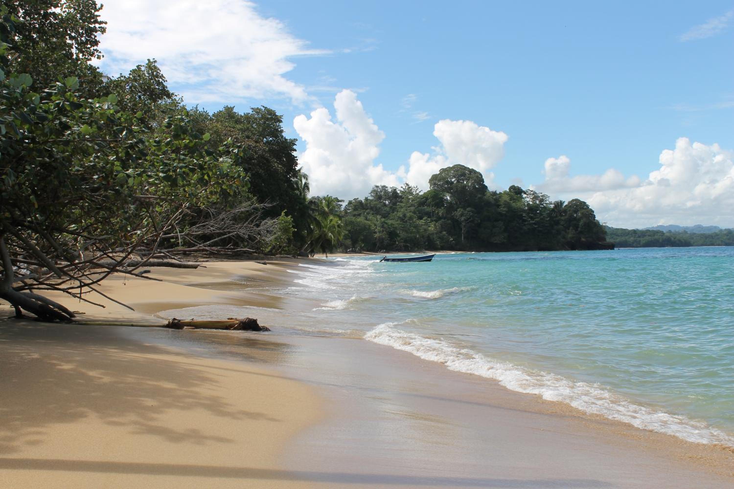 El Jardin de Playa Negra