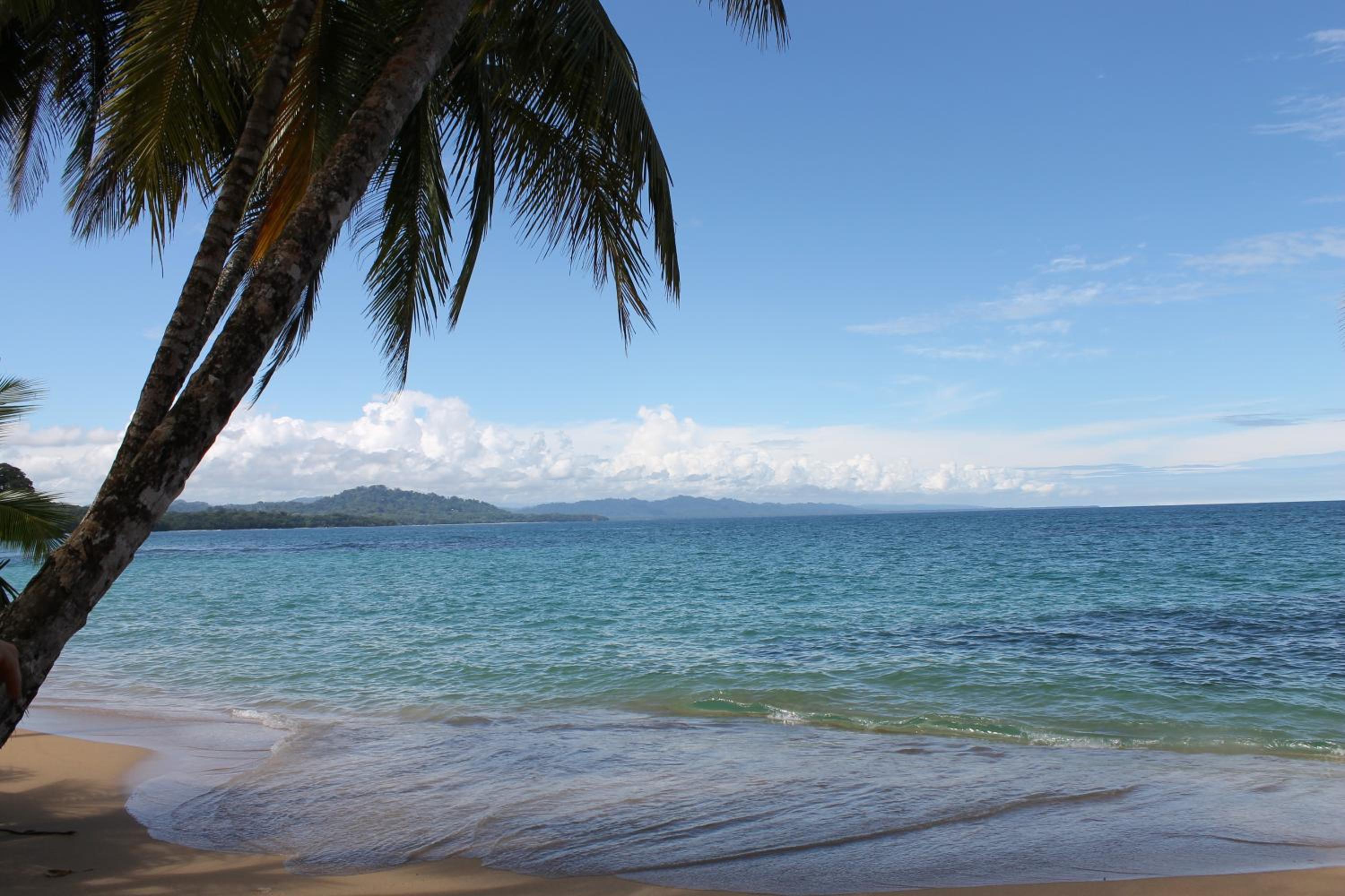 El Jardin de Playa Negra