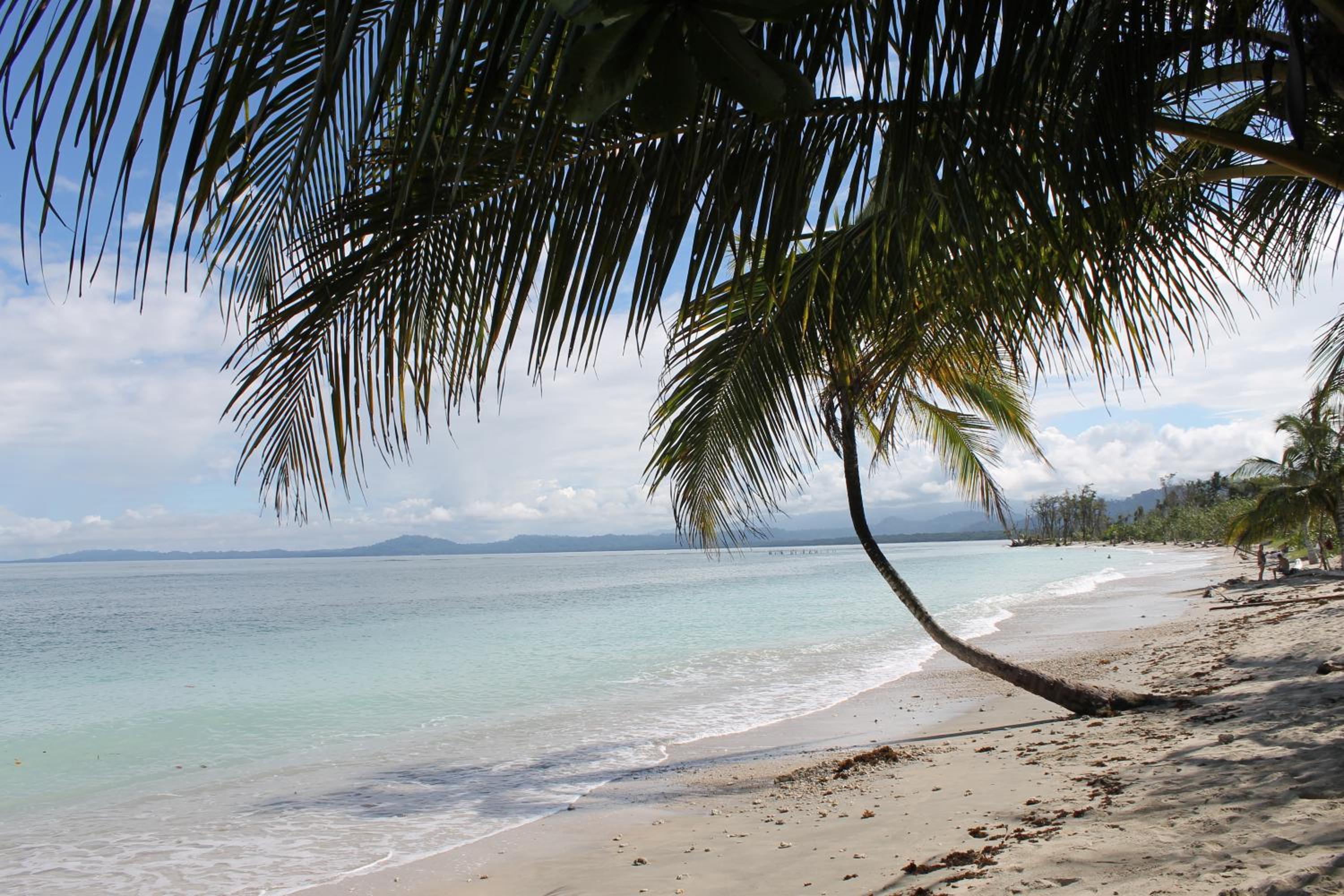 El Jardin de Playa Negra