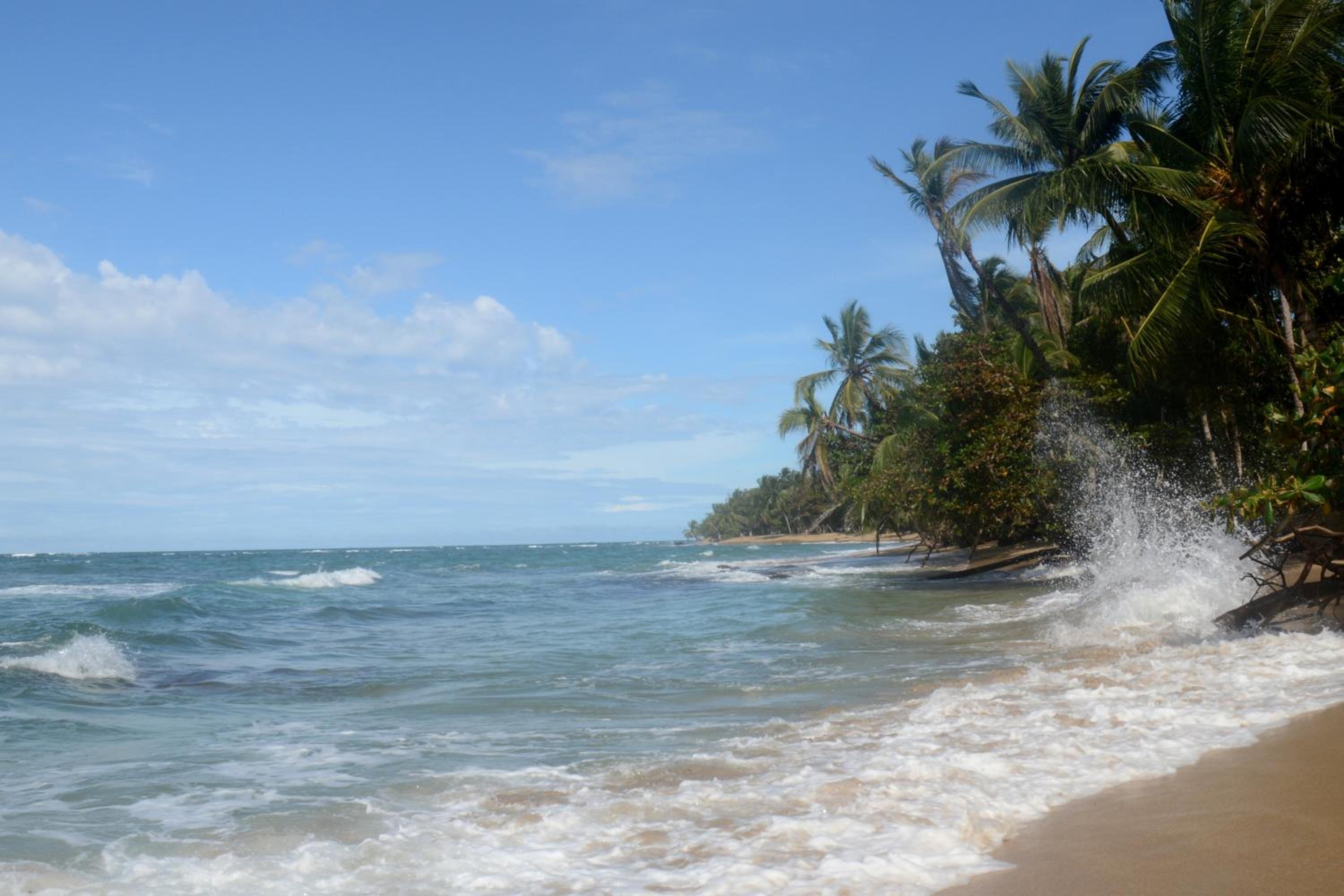 El Jardin de Playa Negra