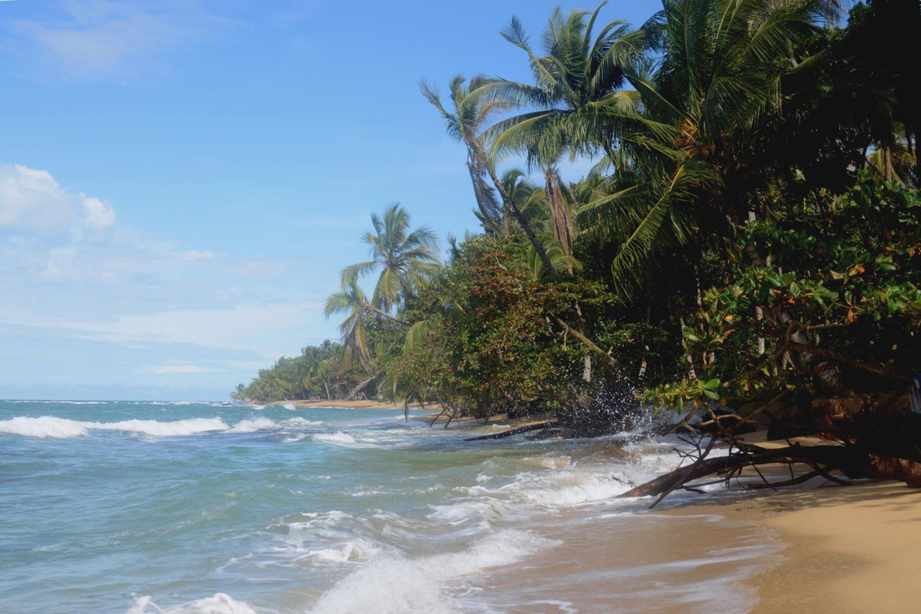 El Jardin de Playa Negra