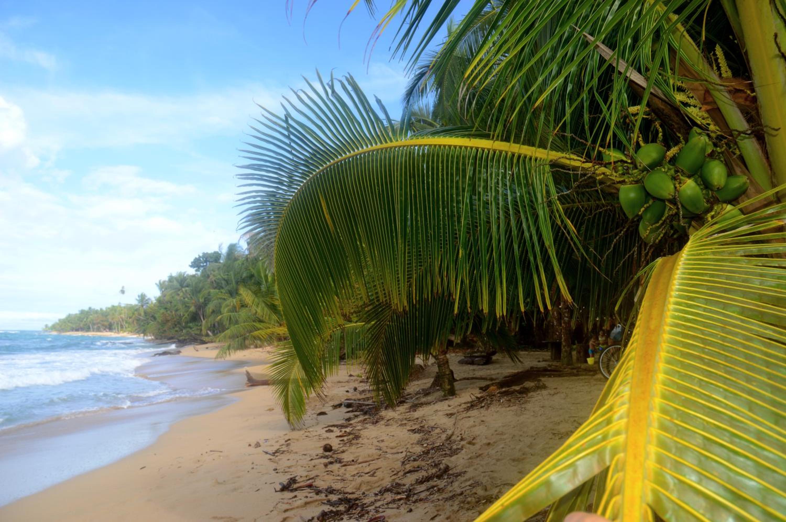 El Jardin de Playa Negra