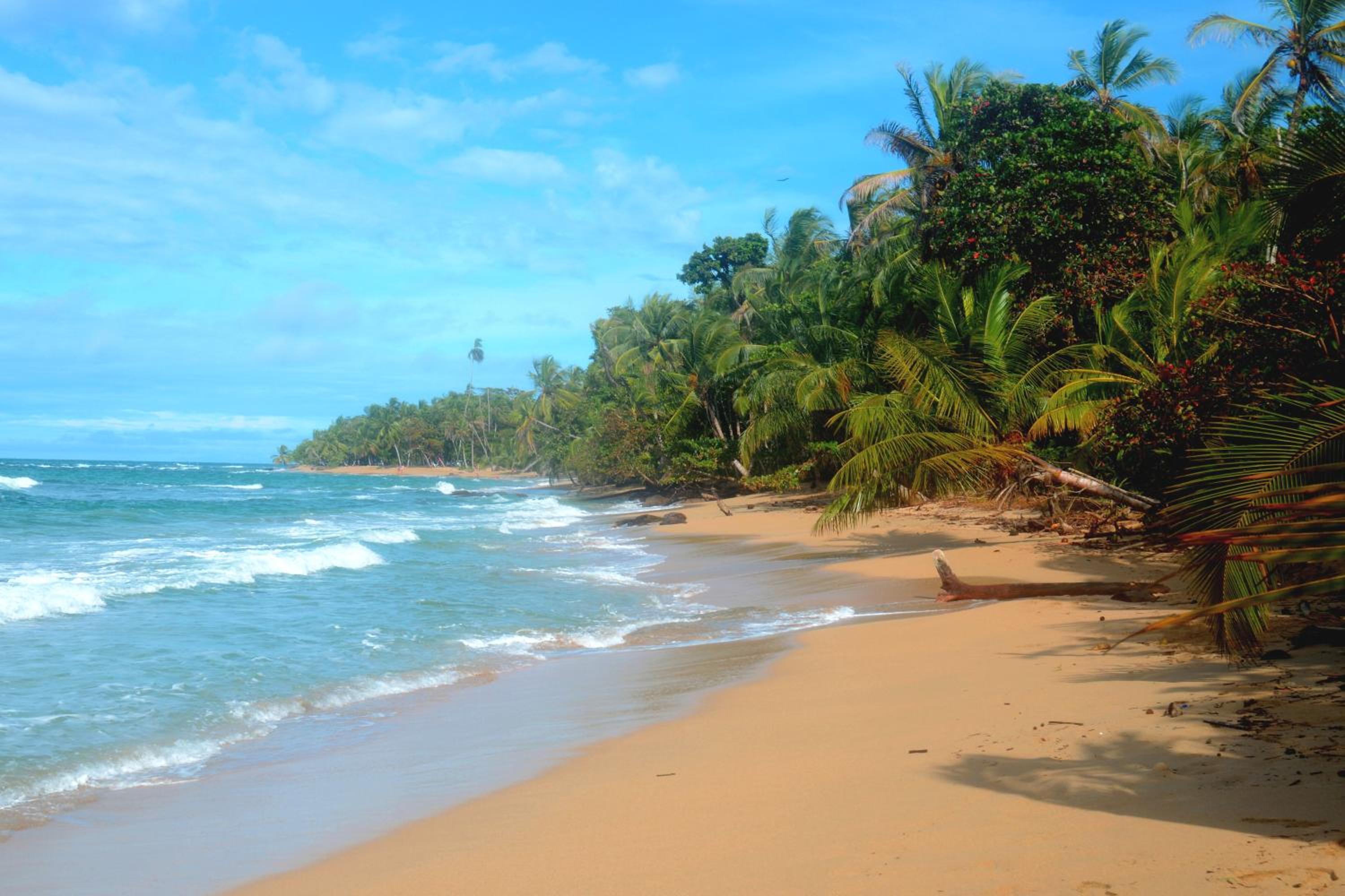 El Jardin de Playa Negra