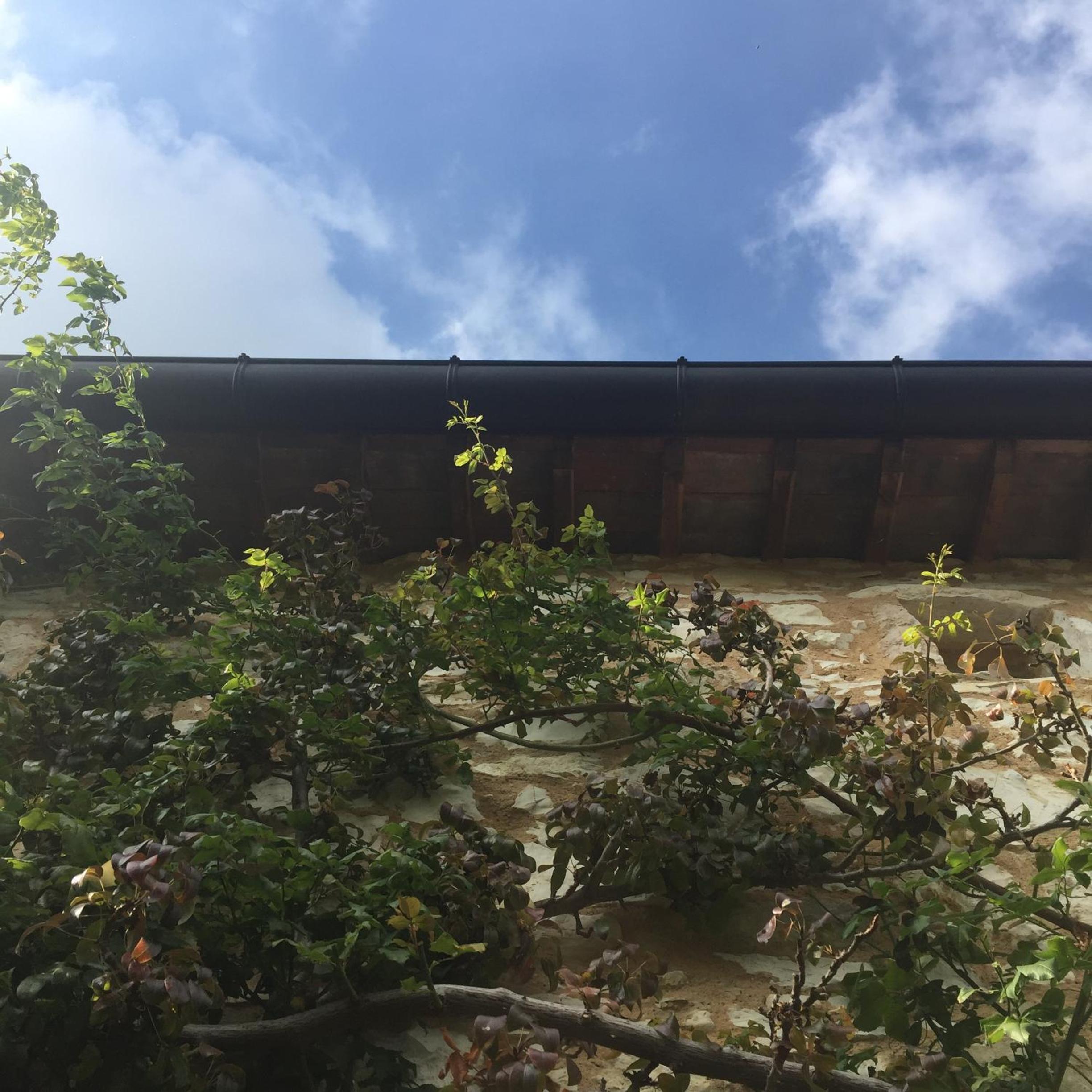CalVenere view 4