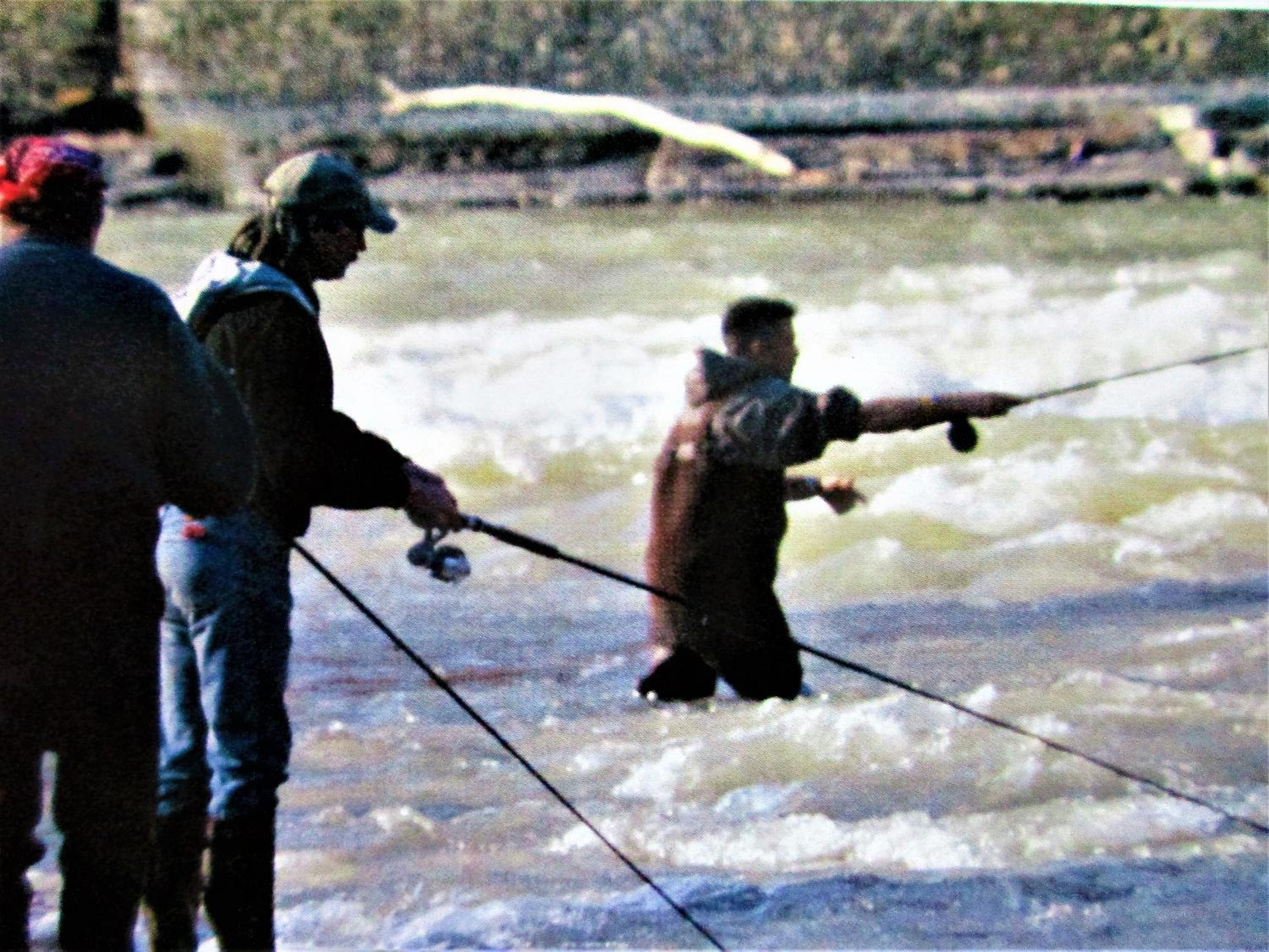 Photo 20
