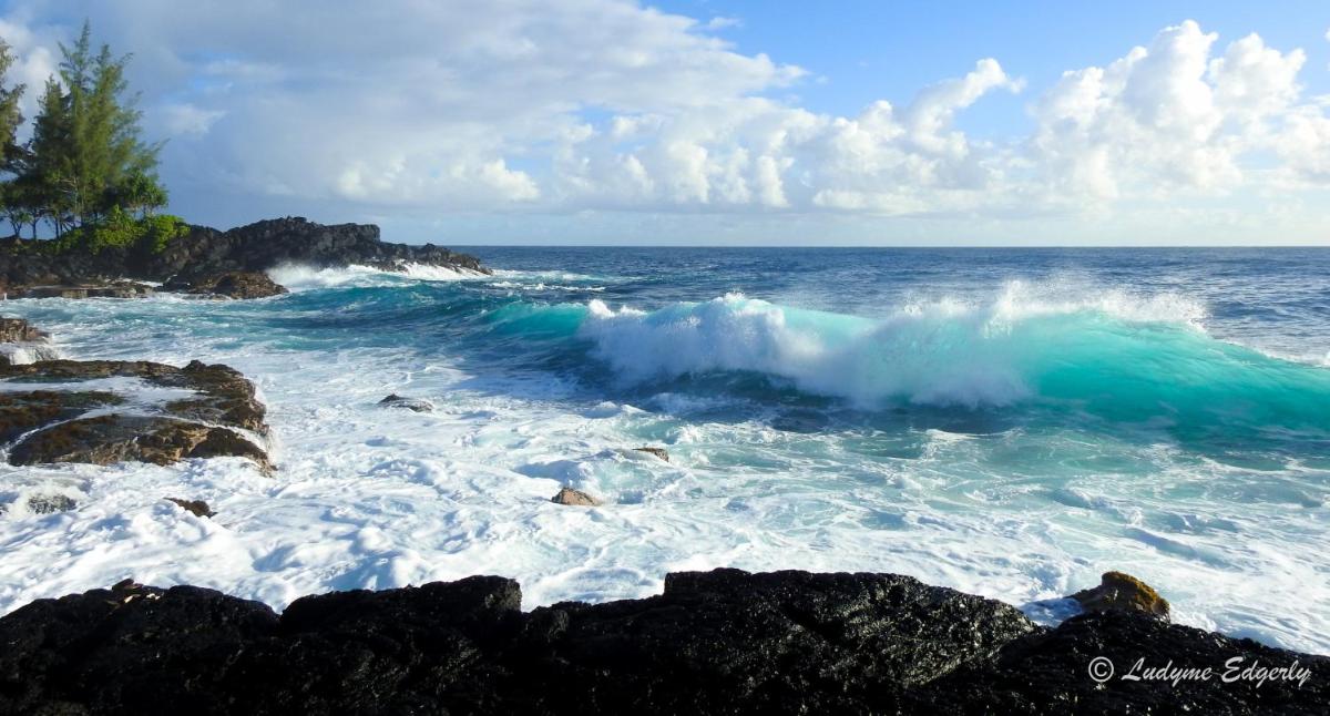 Humble Home in Hawaii - Property Image 52