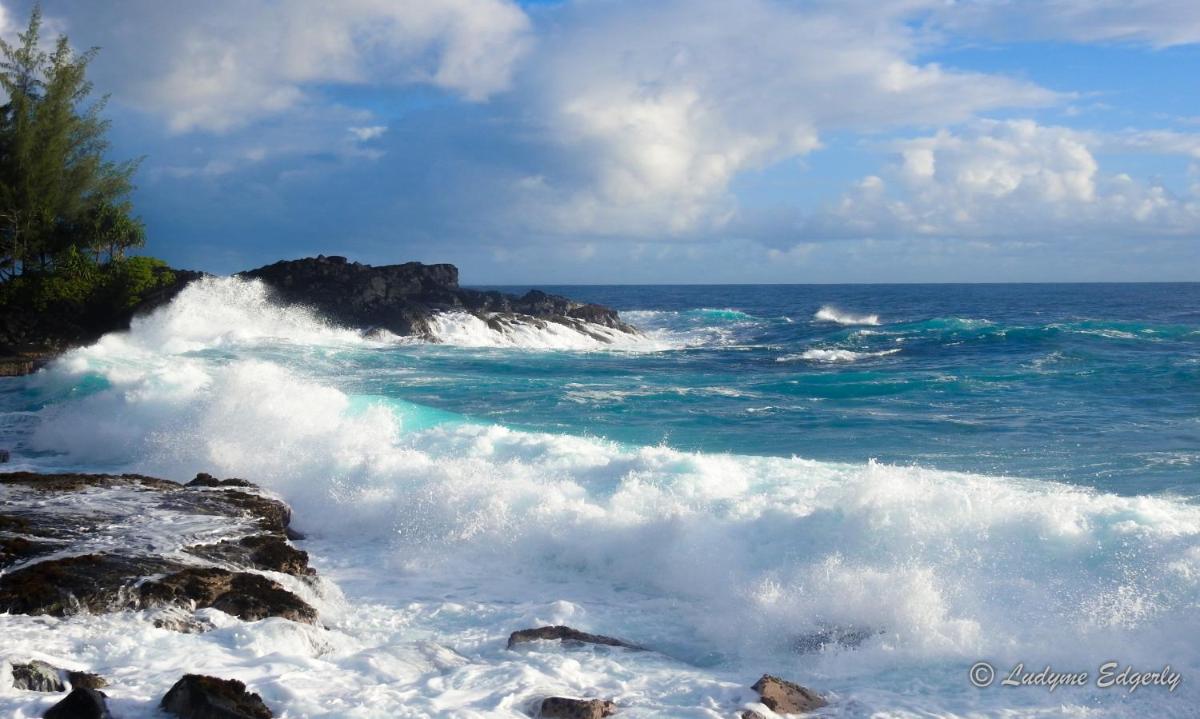Humble Home in Hawaii - Property Image 15