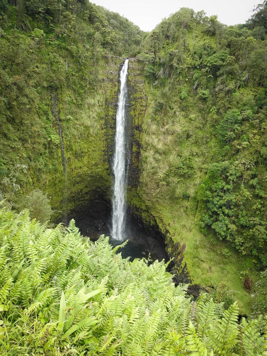 Humble Home in Hawaii - Property Image 2