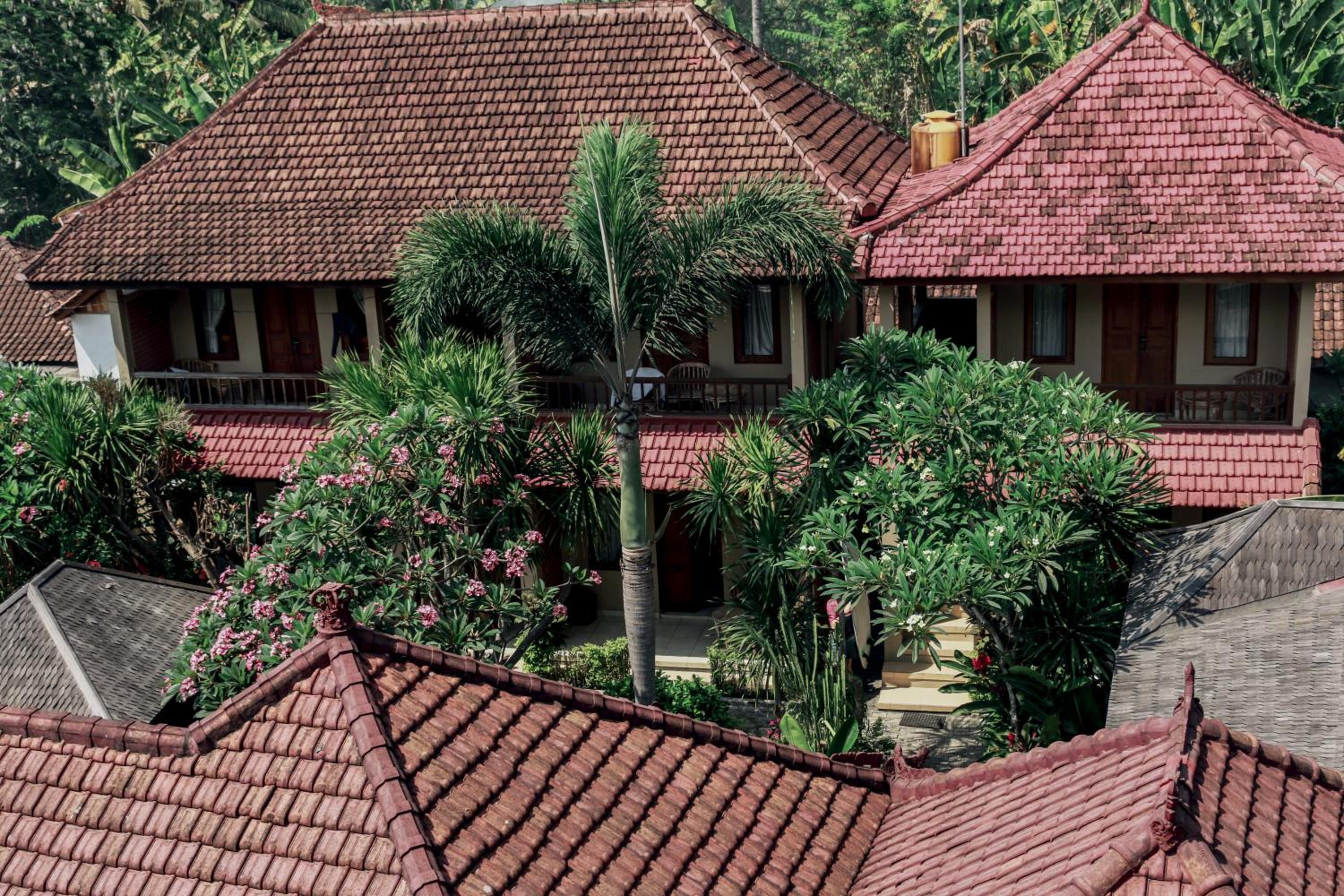 Medewi Beach Inn view 4