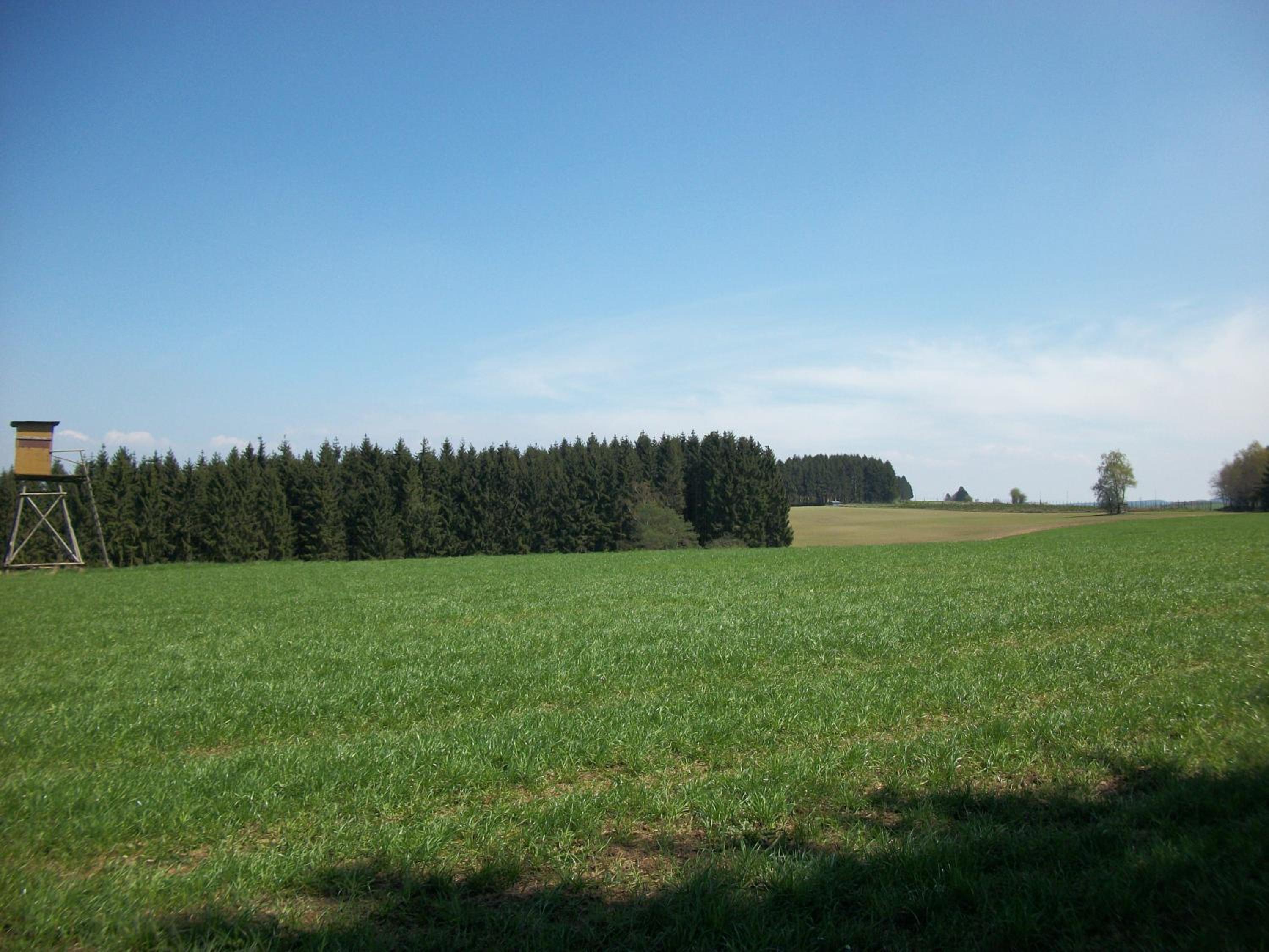 FILD - Holiday Apartment