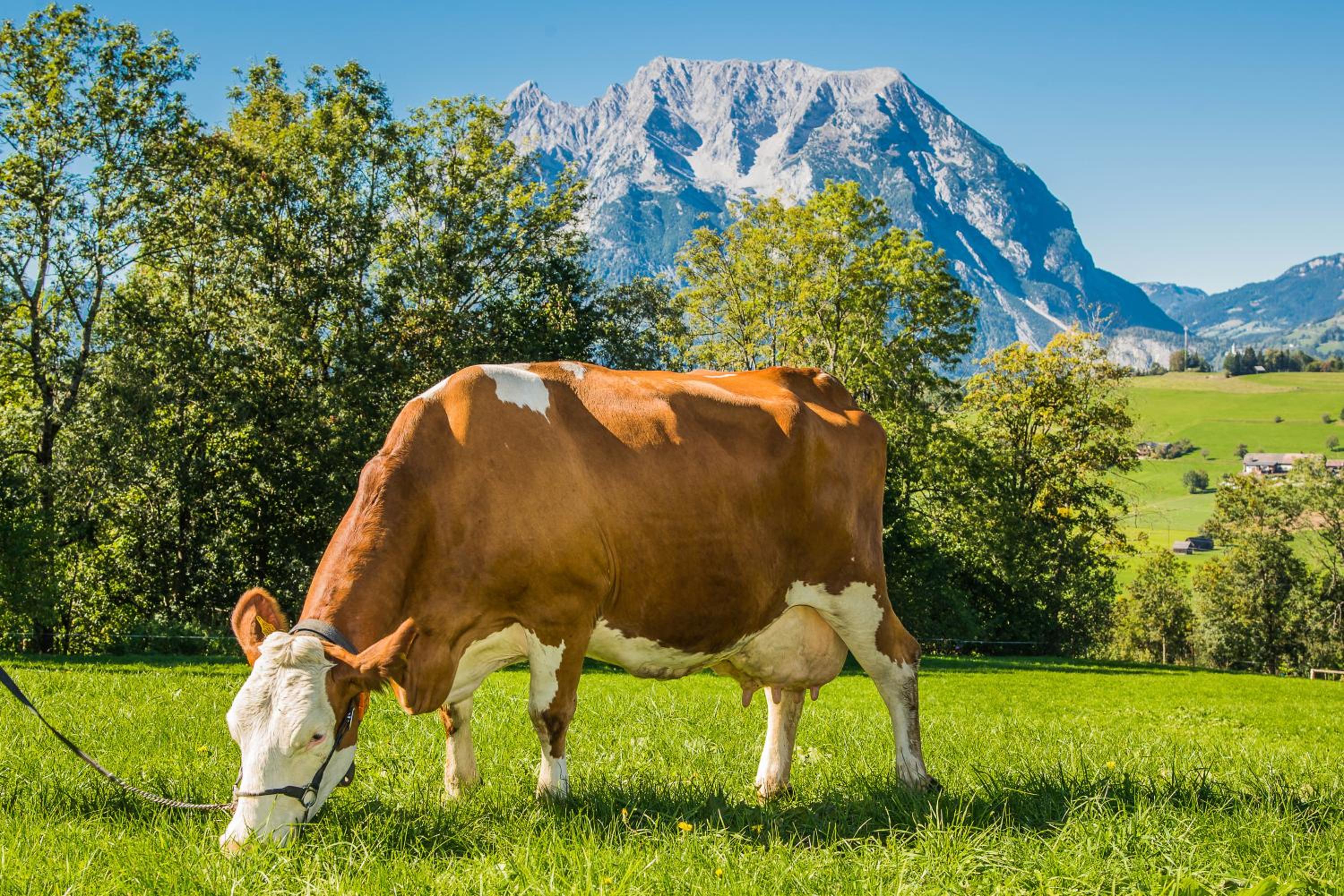 Hüttstädterhof Familie Pötsch