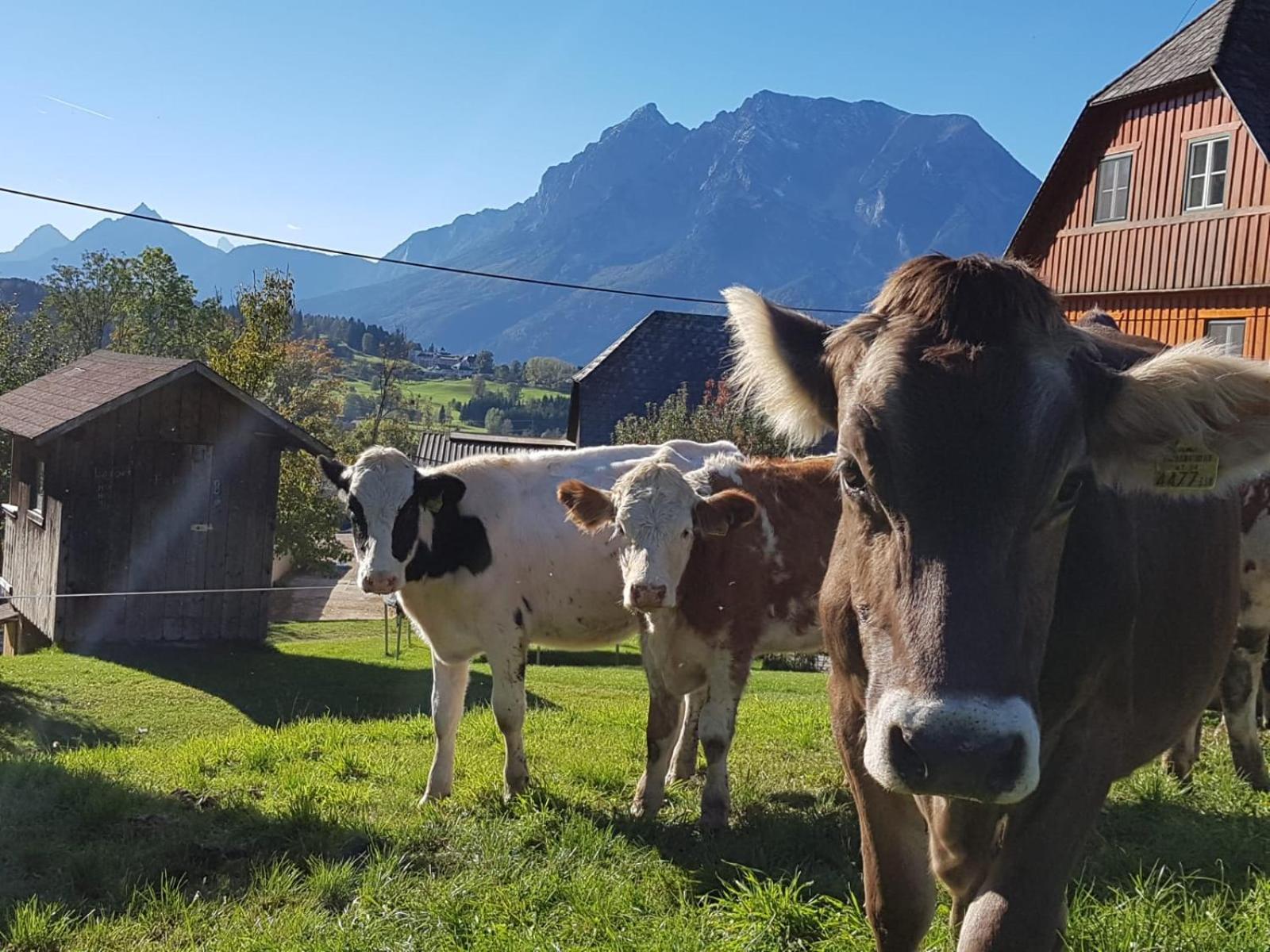 Hüttstädterhof Familie Pötsch