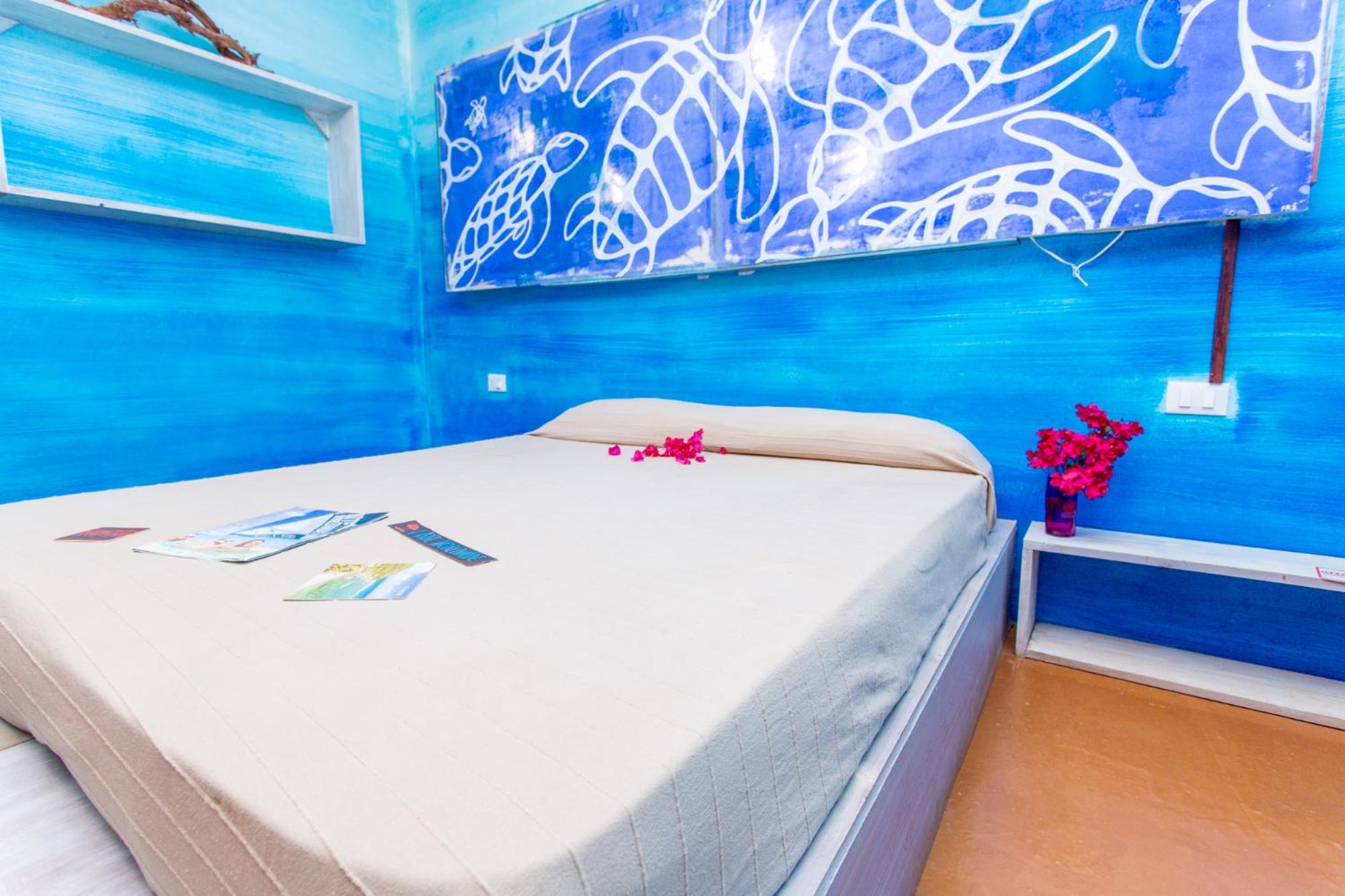 Surfactivity Guest House