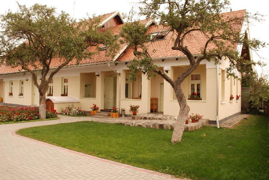 Borsika panzió view 5
