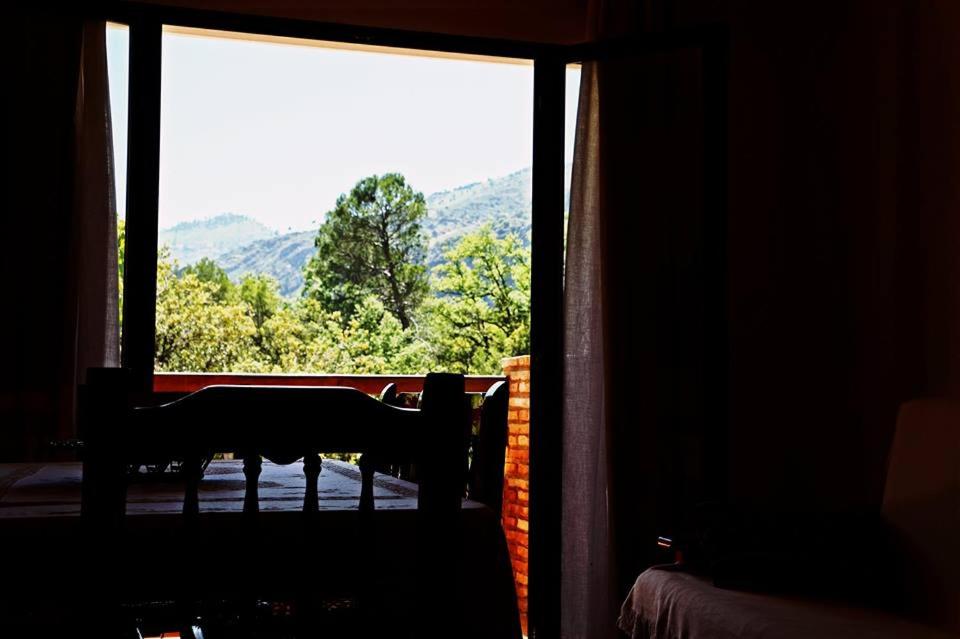 Finca El Carrascal Arroyofrío Sierra de Cazorla view 3