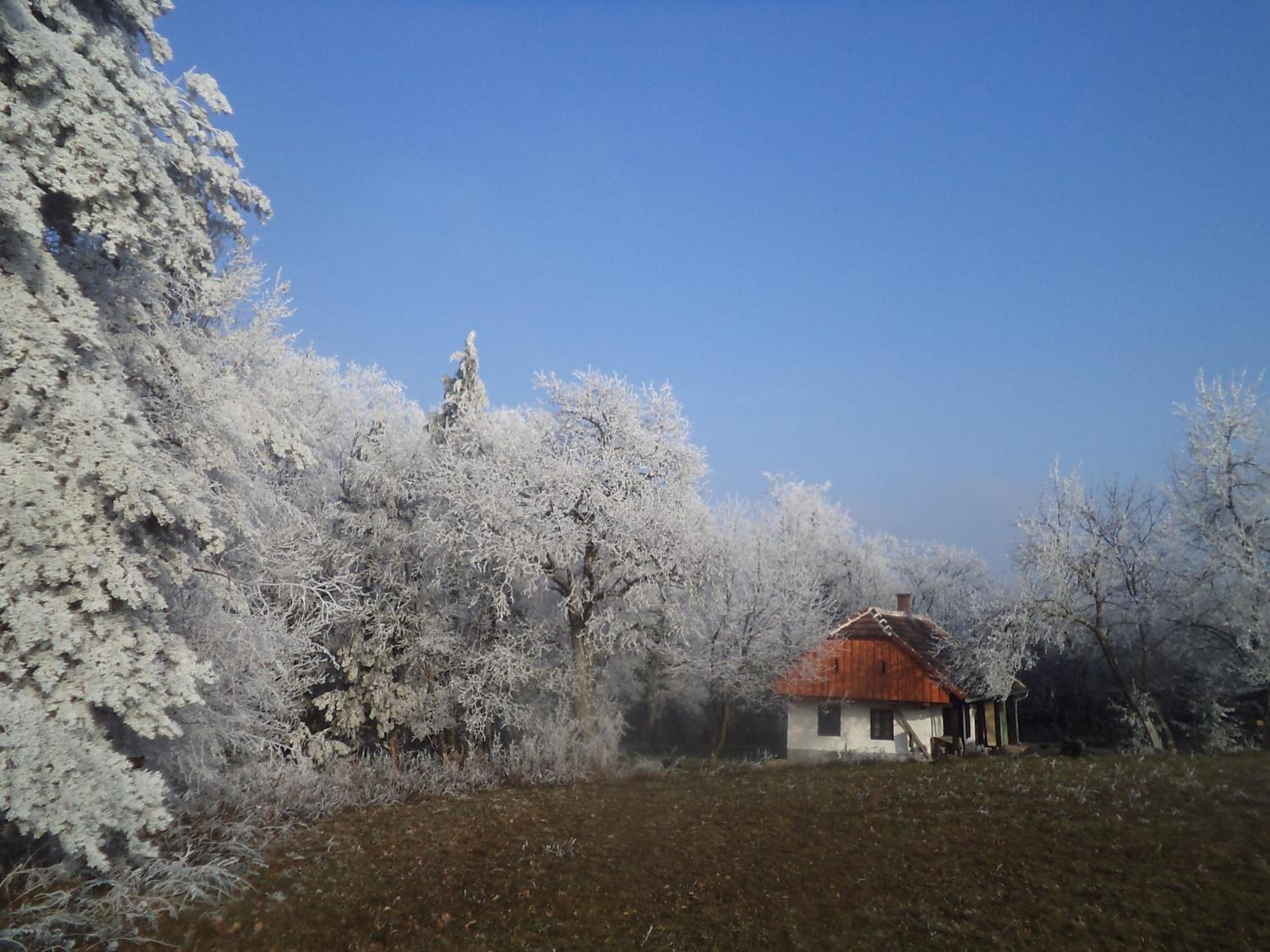 Photo 27