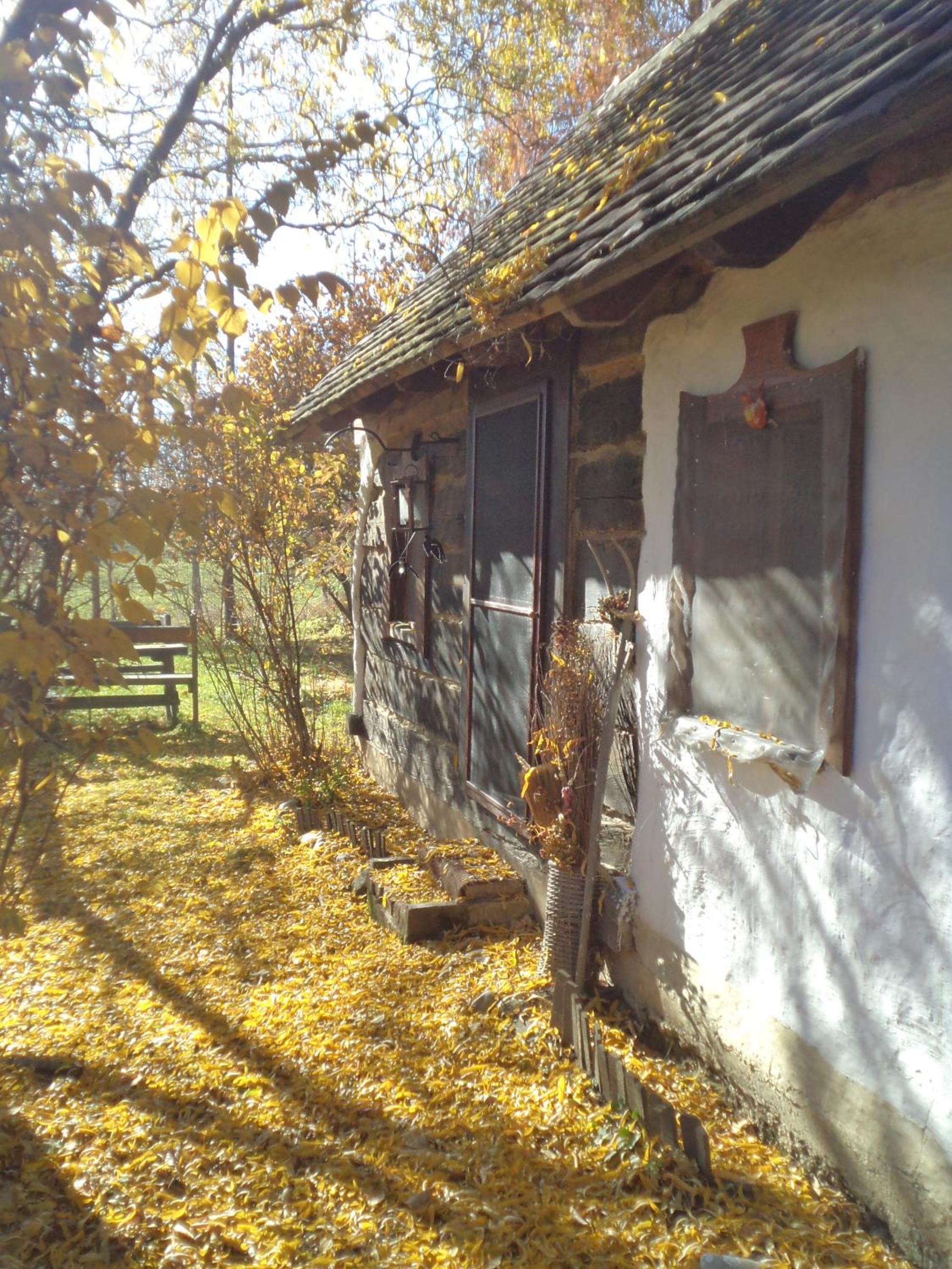 Photo 26
